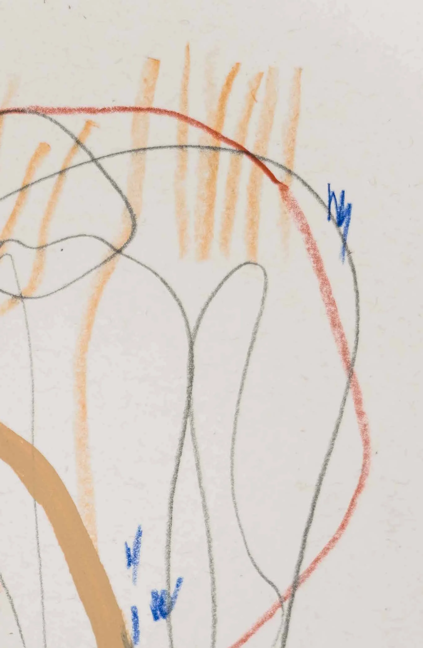Looks Good on You (Detail) / 8.5” x 11” / graphite, chalk pastel, colored pencil and acrylic paint on paper