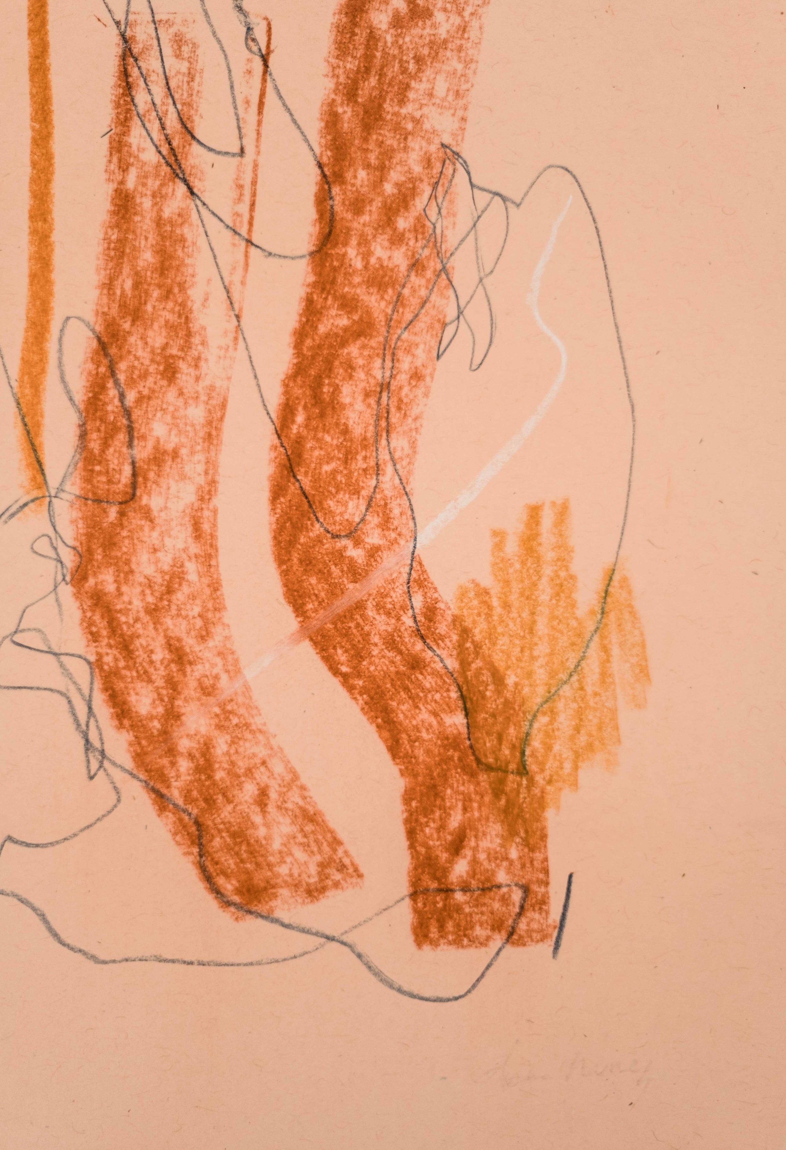Young Sun (Detail) / 8.5” x 11” / graphite and chalk pastel on paper