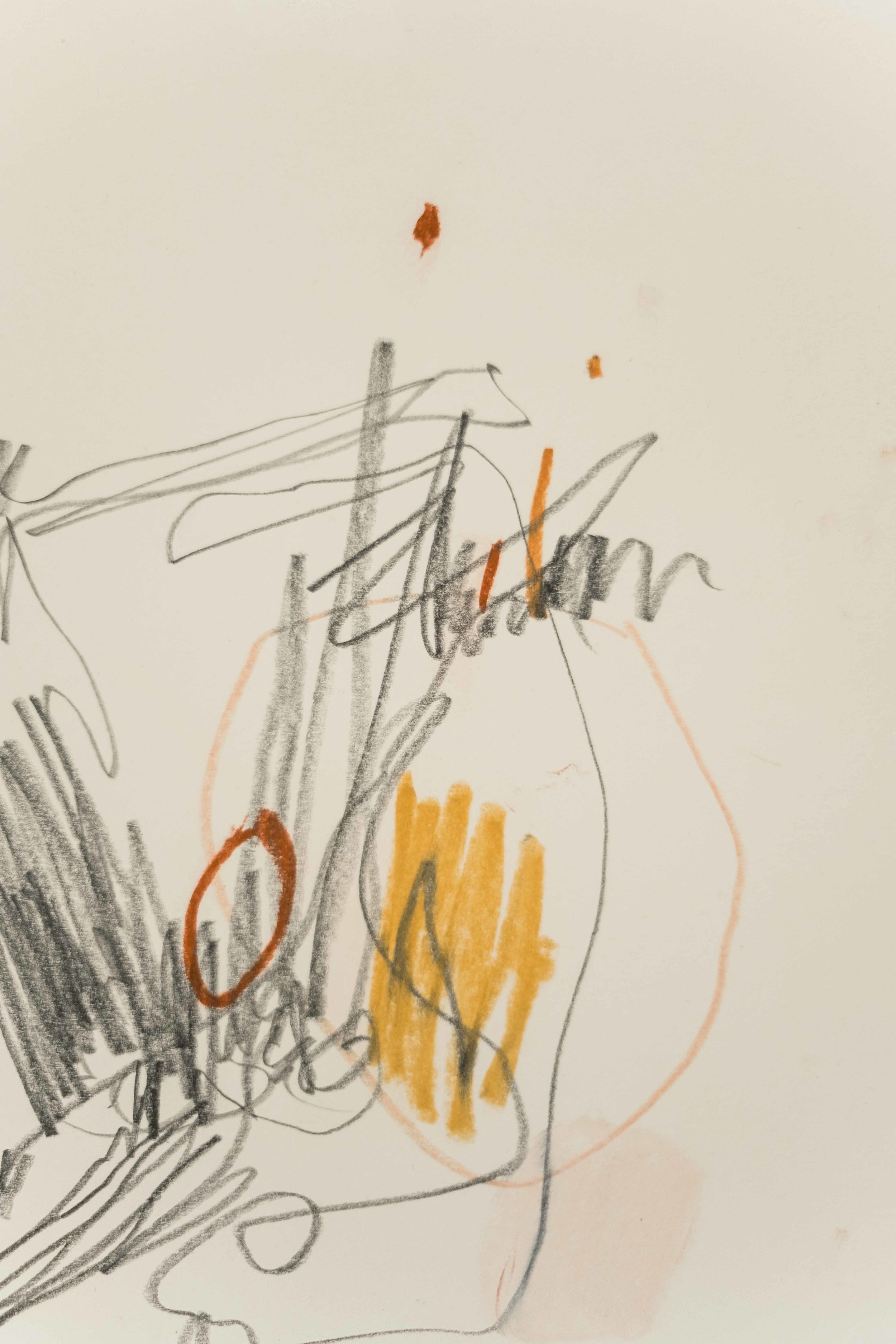 Velma (Detail) / 8.5” x 11” / graphite and chalk pastel on paper
