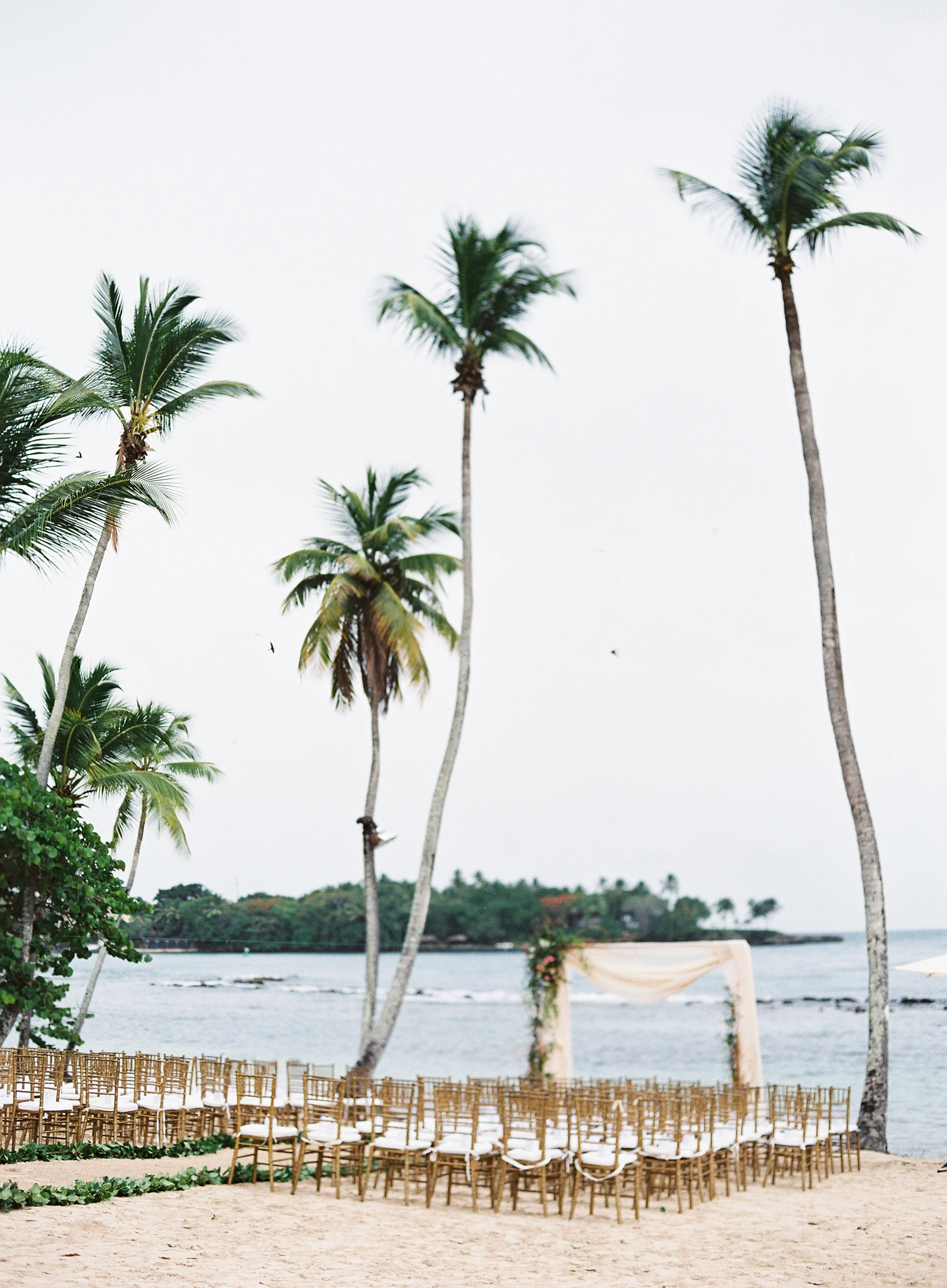 Ashleigh and Brian-Wedding Day-Carrie King Photographer-184.jpg