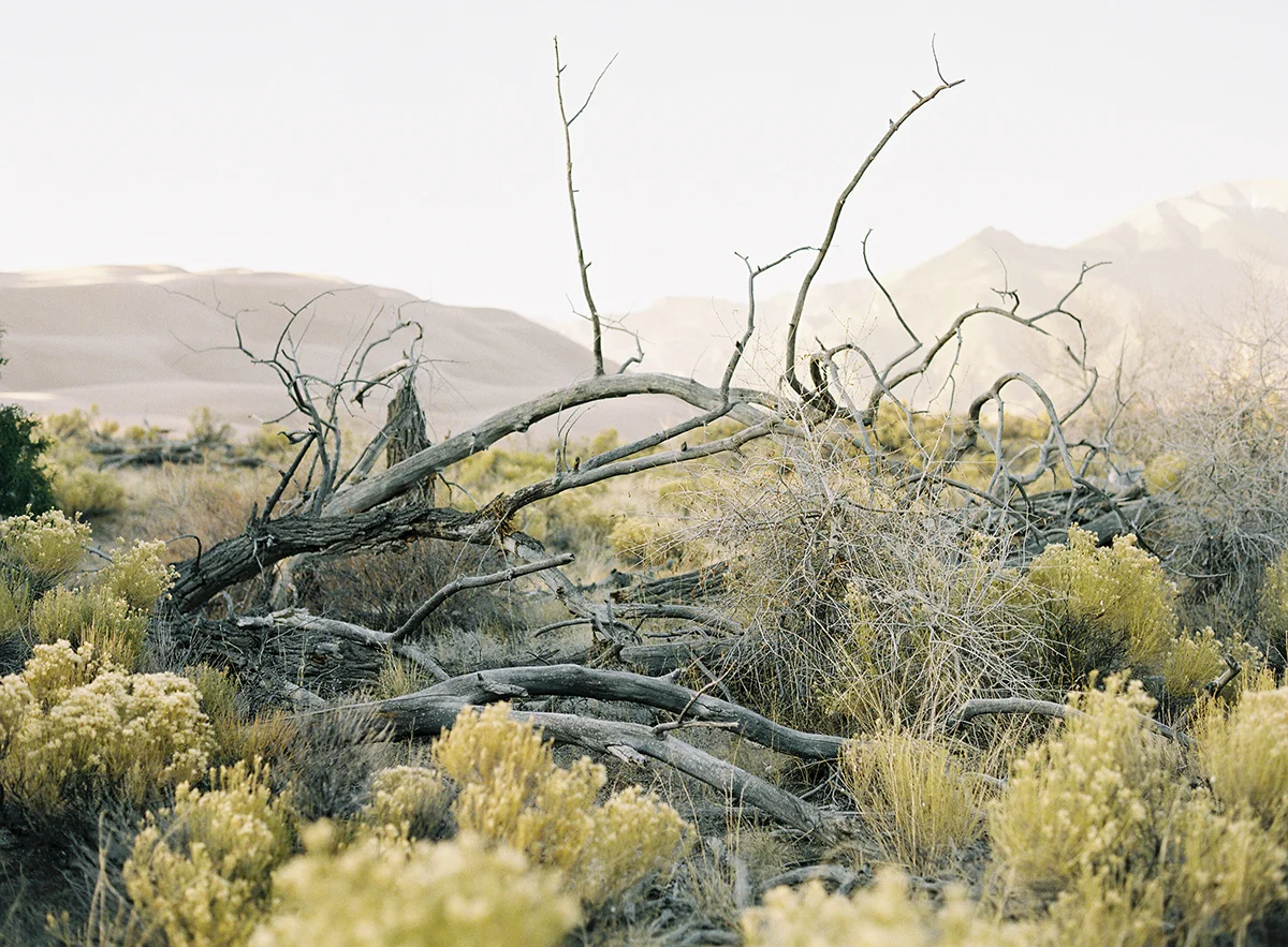 scenic colorado on film
