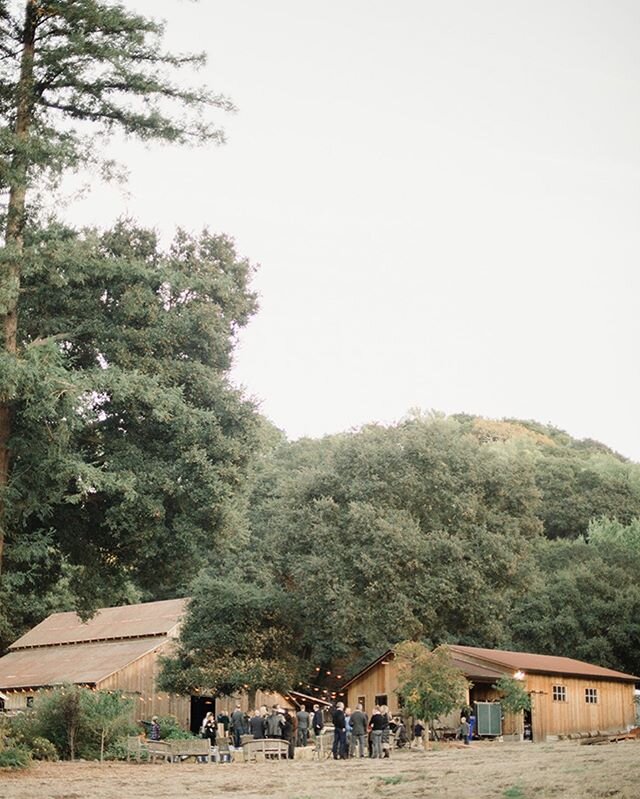 C + J were married on this beautiful ranch in Northern California, surrounded by their closest friends and family 💕 Film lab @richardphotolab @filmsupplyclub @fujifilm_profilm | #northerncaliforniaweddings #californiawedding #californiaweddingphotog