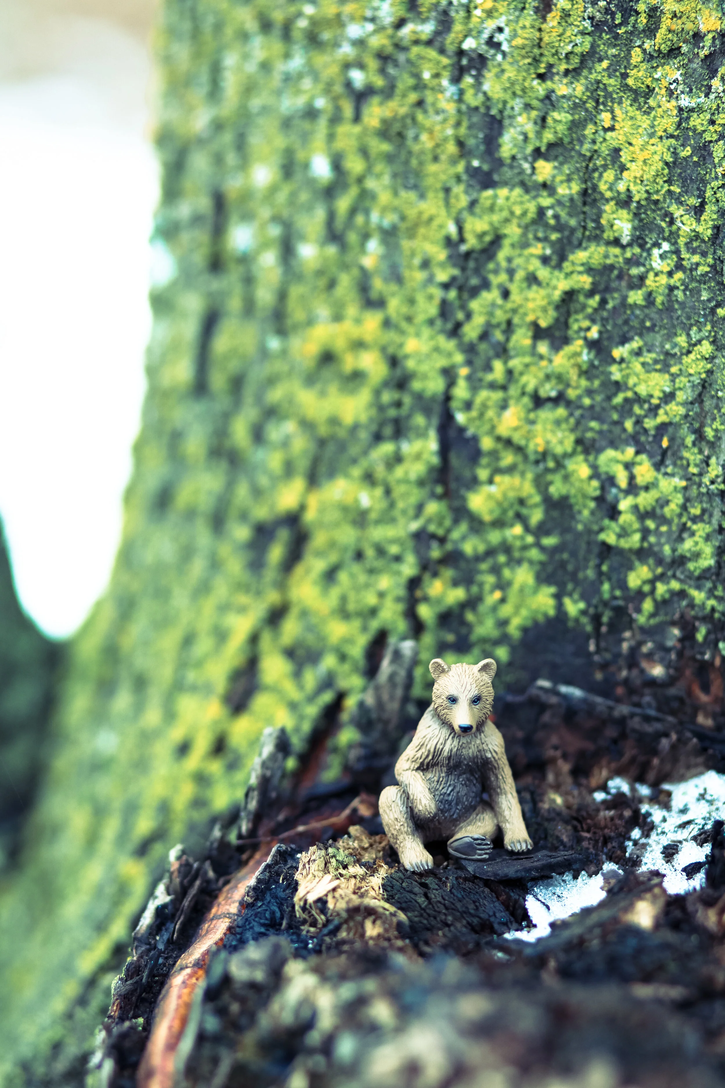 LittleBear-1985.jpg