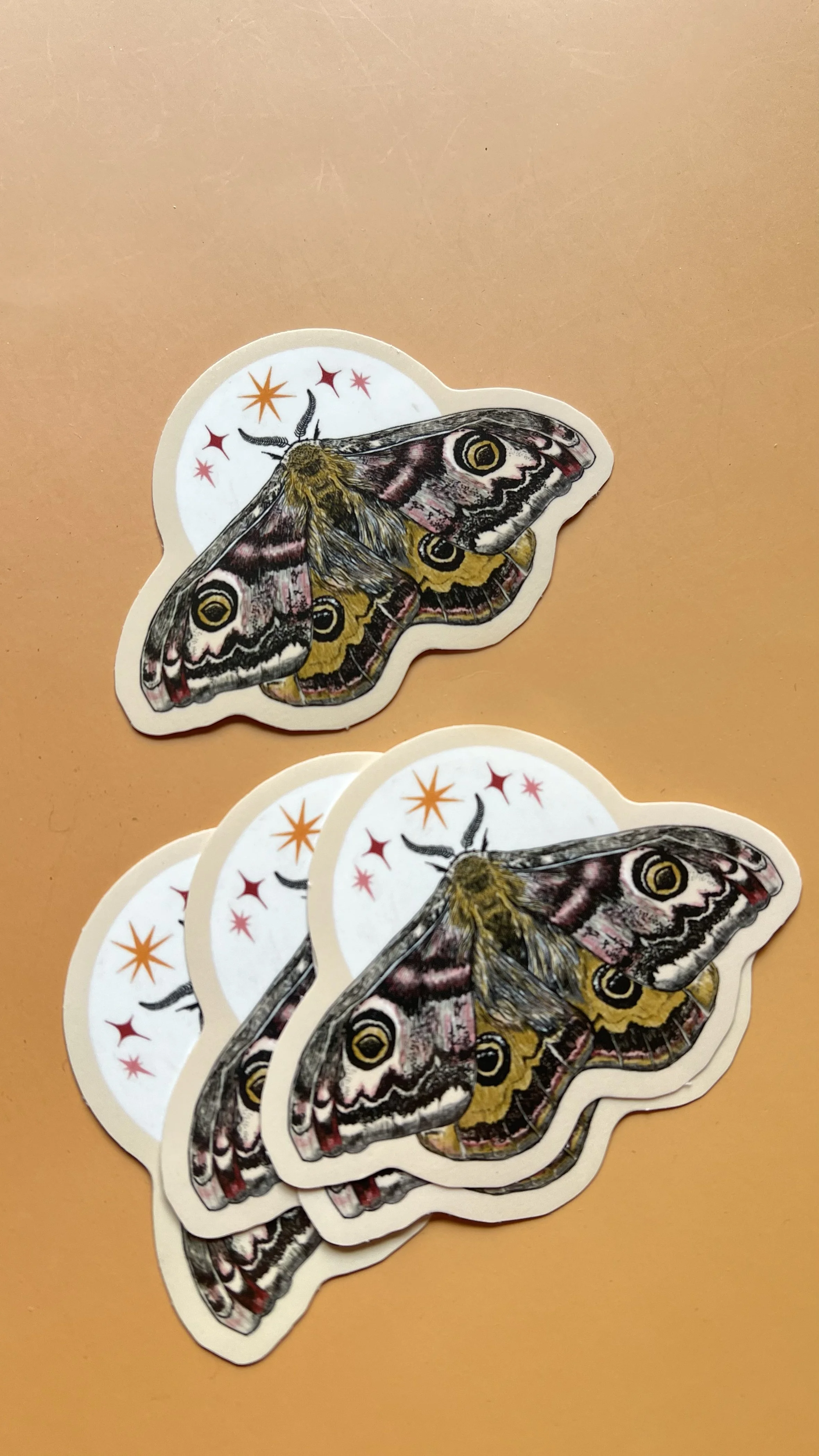 emperor moth 3.jpg