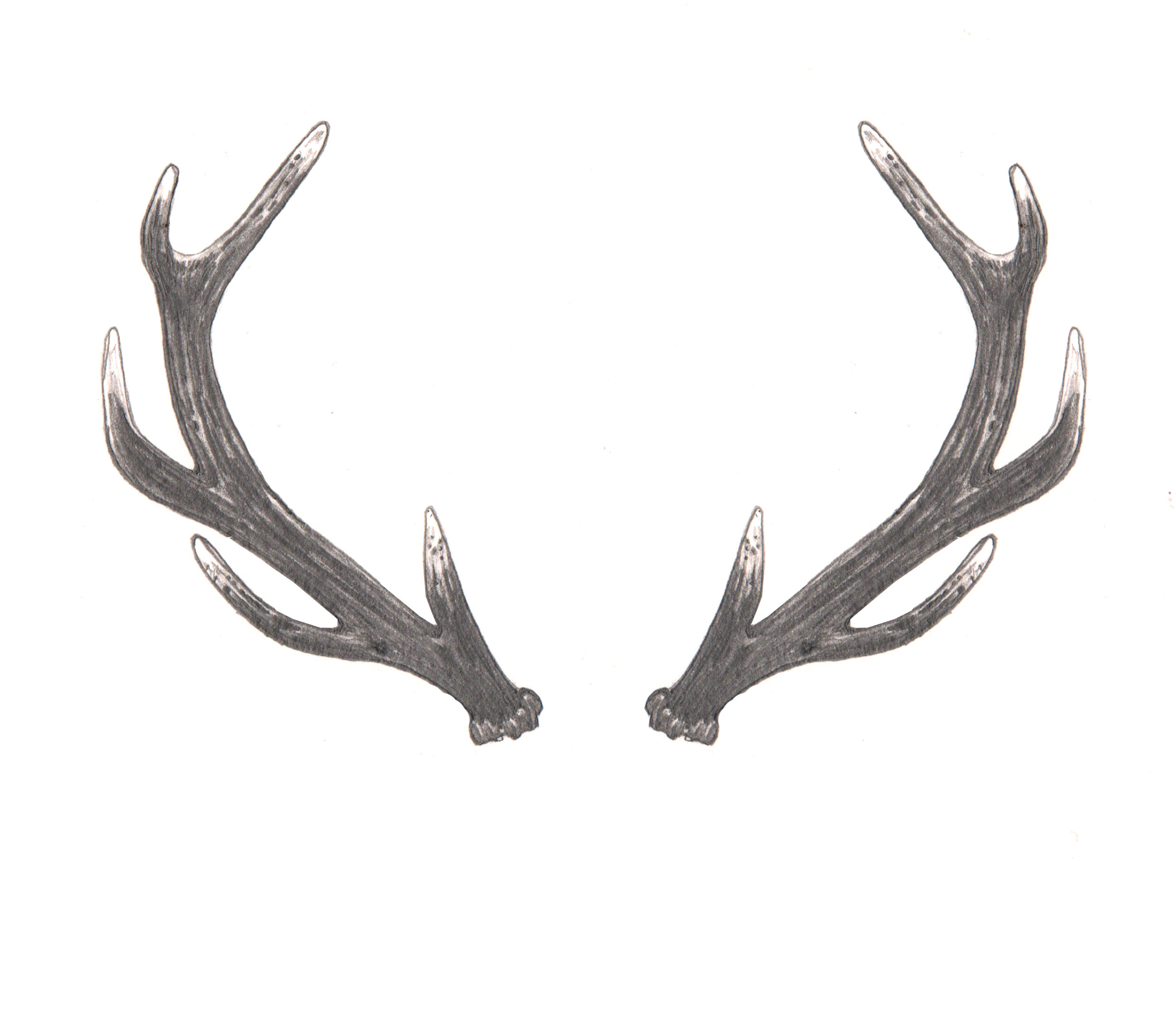 Antlers