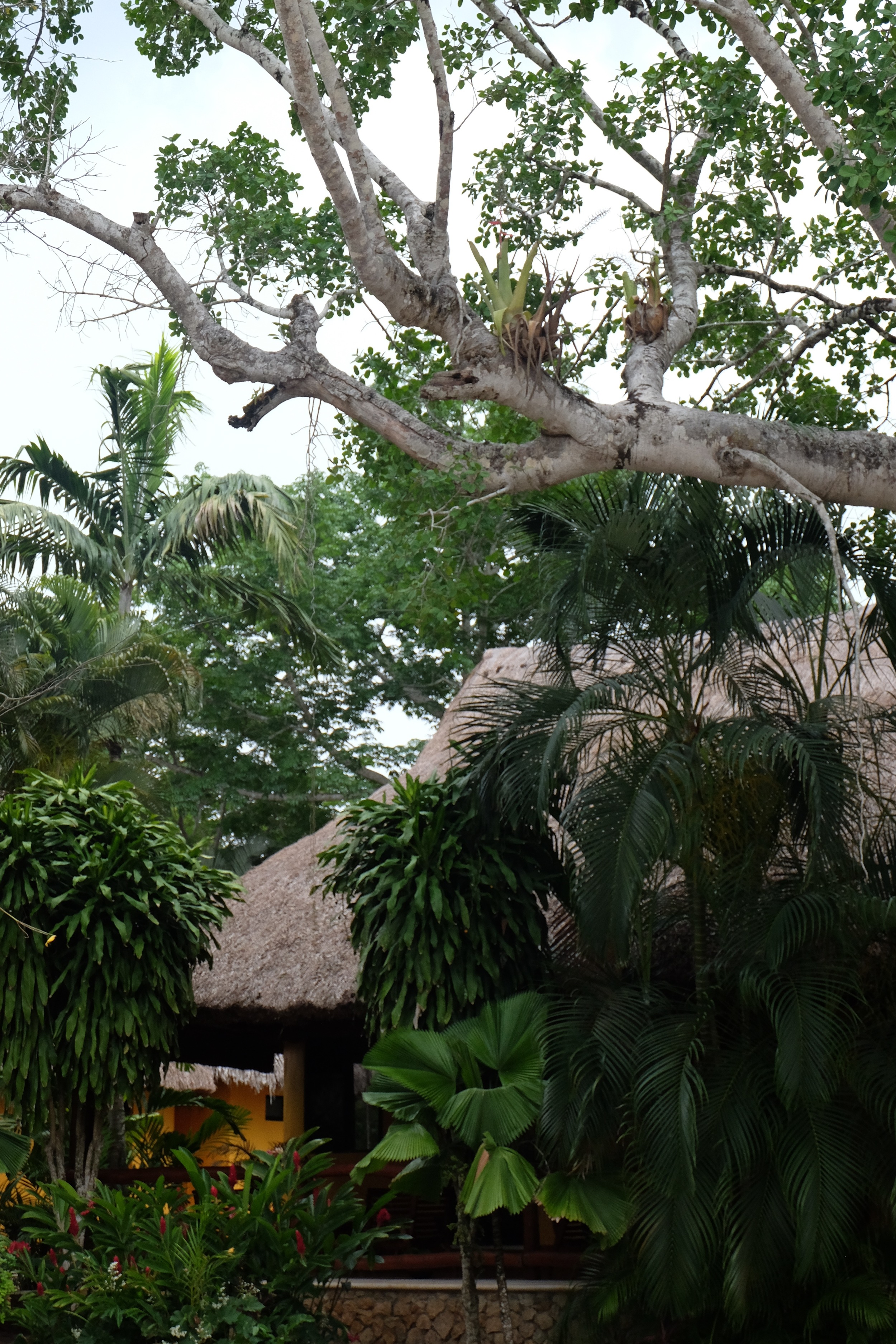 DSCF2724.jpg
