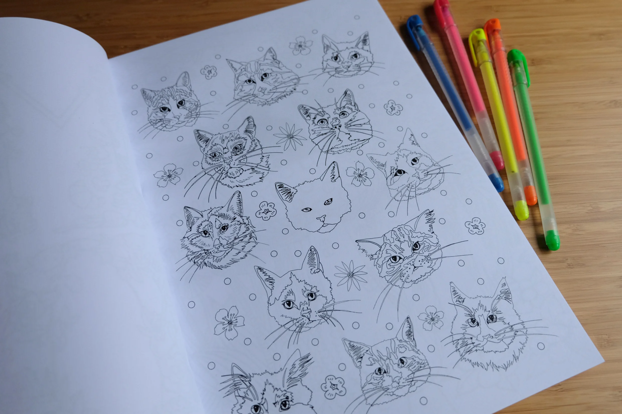 cats in wonderland 3.jpg