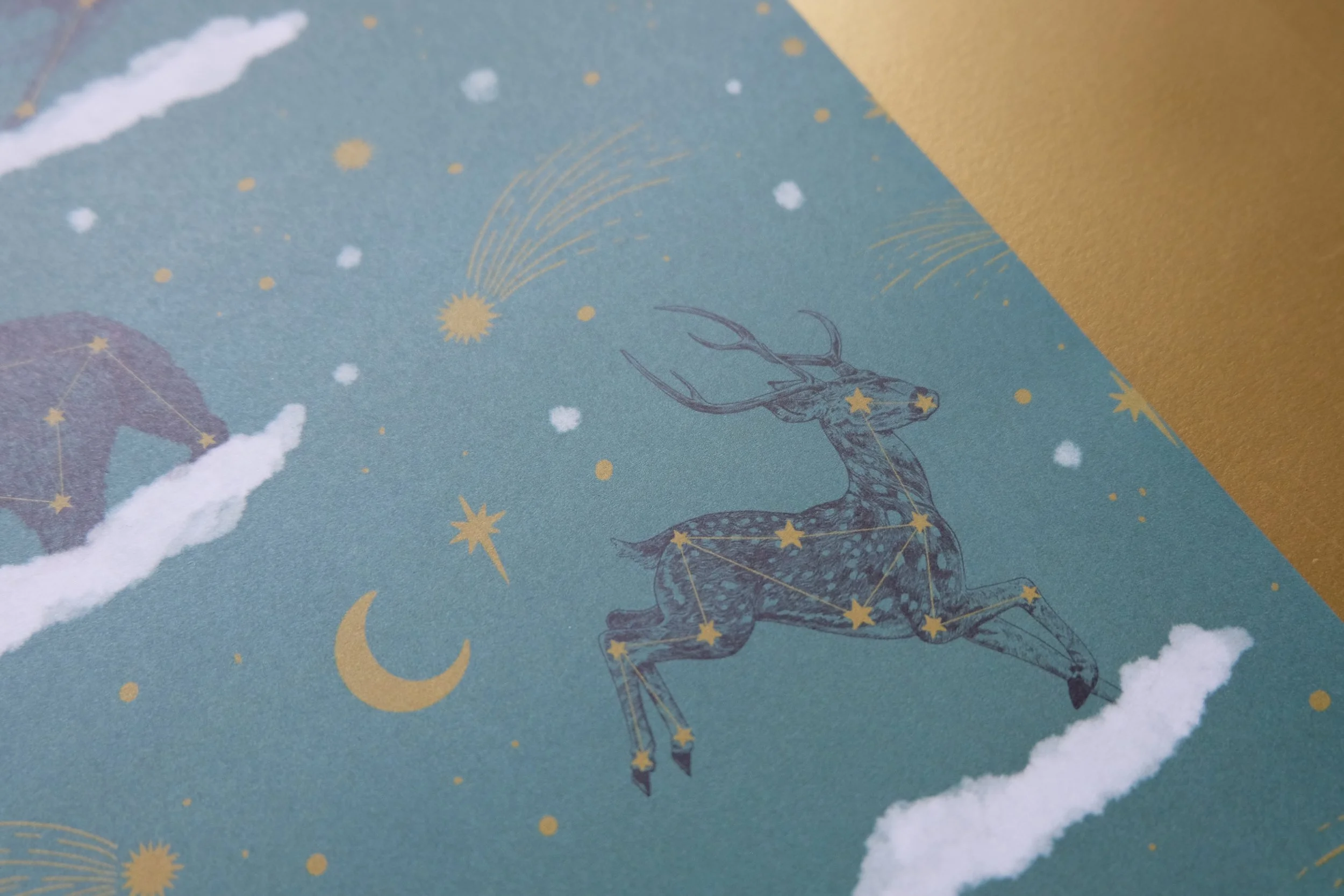 Animal Constellation 5.jpg
