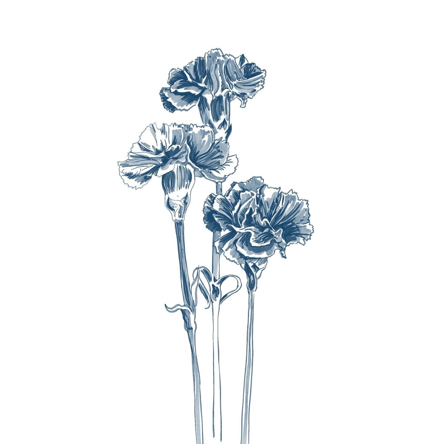 Recently got some watercolour brushes for @procreate in order to work on a mammoth commission, so naturally have been enjoying playing around with them since watercolour is not my forte. Have a fond soft spot for these carnations though ✨ 

Brushes b