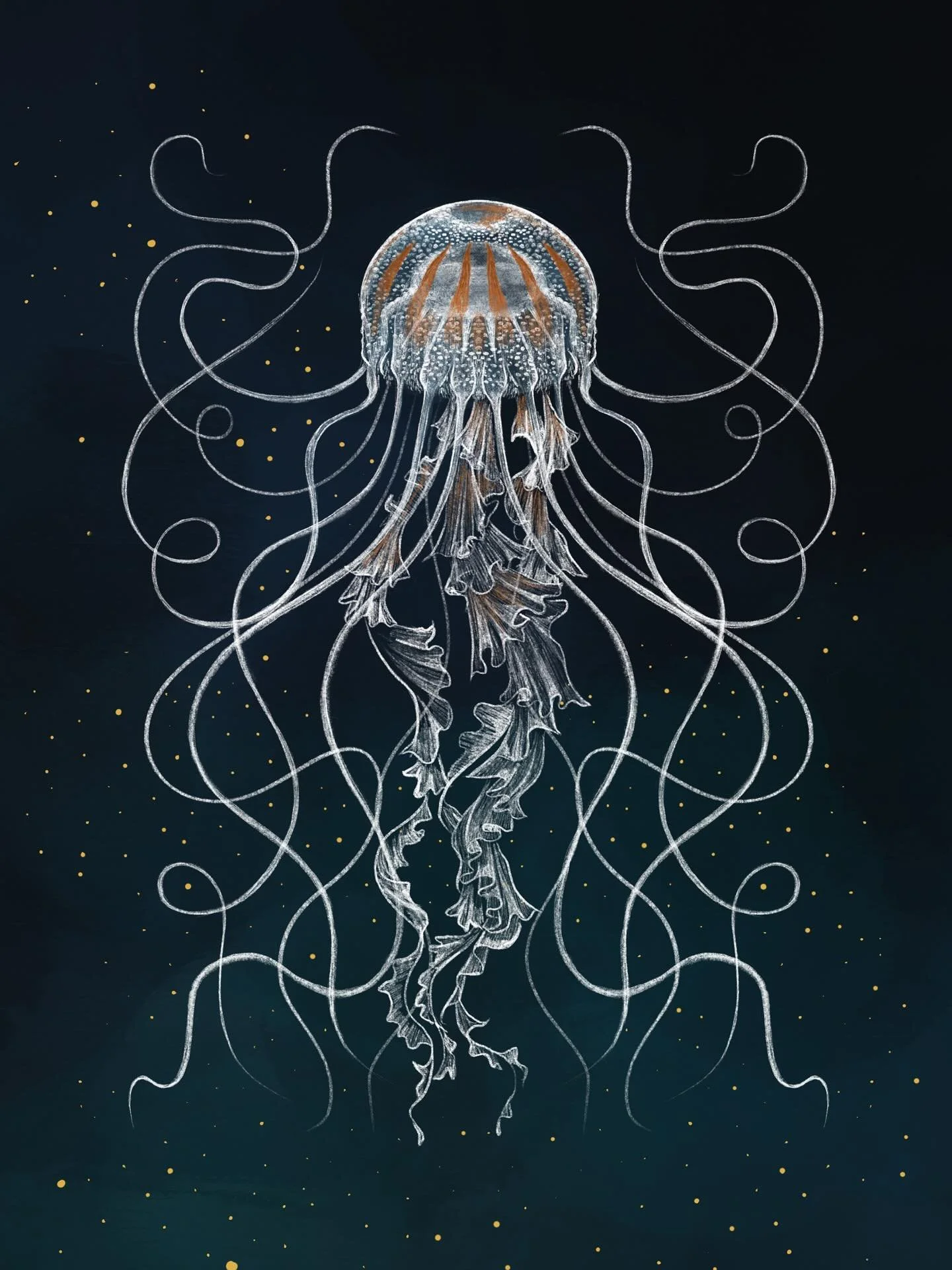 🪼✨Deep Ocean &amp; Dark Waters✨🪼

It had to be a deep sea jellyfish for today&rsquo;s prompt of the #scaryandsweet25 drawing challenge! This ethereal beauty is called a Chrysaora Quinquecirrha or &lsquo;Sea Nettle&rsquo; and can be found in the Atl