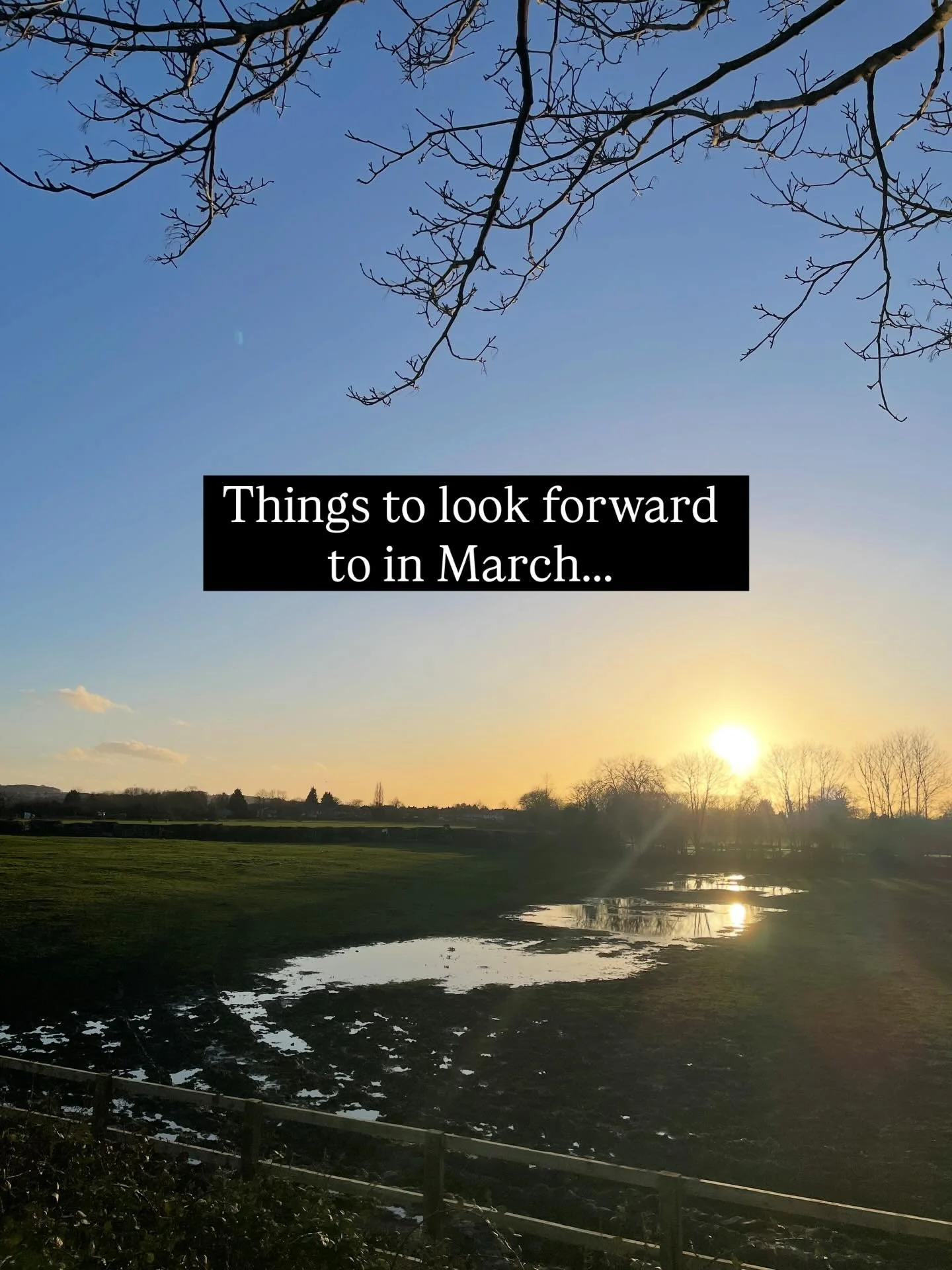 March is round the corner, and there is so much to look forward! Let me know in the comments if I missed anything 💫

#thingstolookforwardto #march #nottingham #iwd2026 #illustration