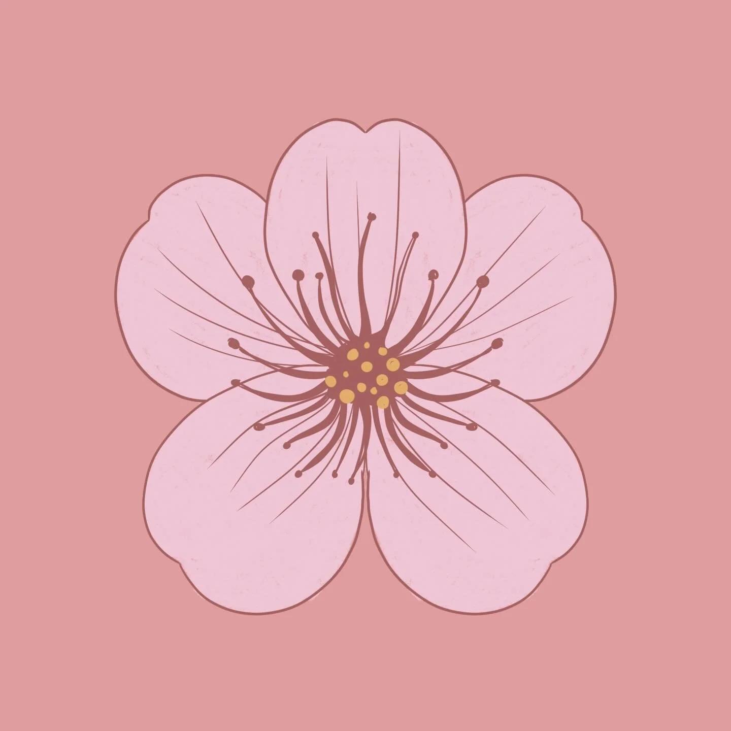 Whilst I&rsquo;ve been on the hunt for new freelance work (which I&rsquo;ve just secured and I&rsquo;m SO excited about) I thought I would help our Home School Association (known as the HSA, like a PTA) with some designs for the schools annual spring