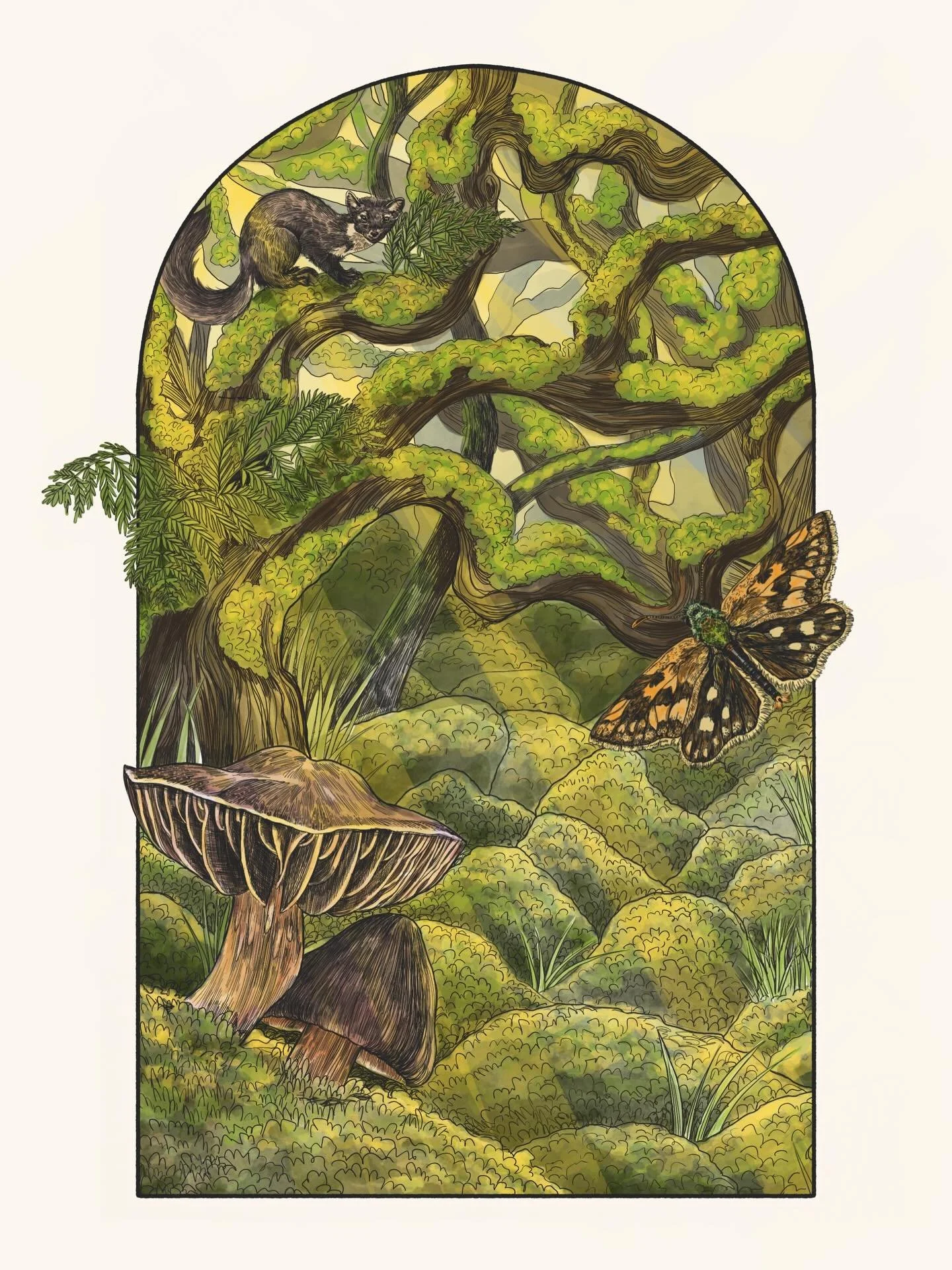 Celebrating Earth Day with the first prompt from @ourplanetweek - Forests Growing 🌳 

I wanted to use this prompt as an opportunity to illustrate a hidden wonder in our country that you would never knew existed - Our temperate rainforests. And whils
