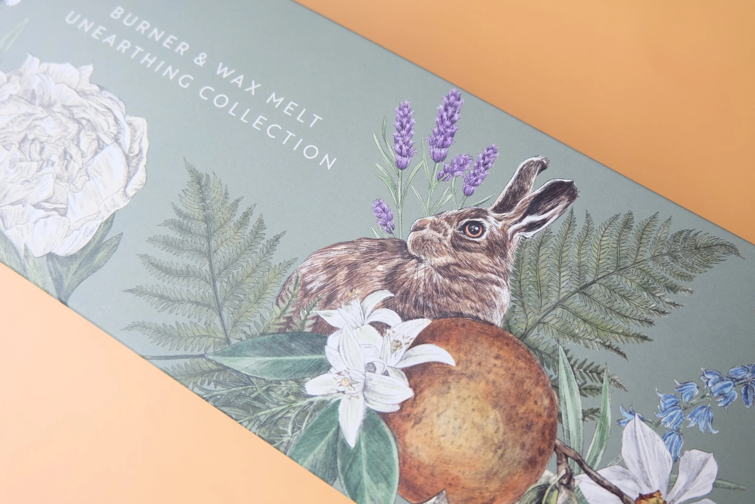 Glass & Wick Burner and wax melt unearthing collection gift box illustration