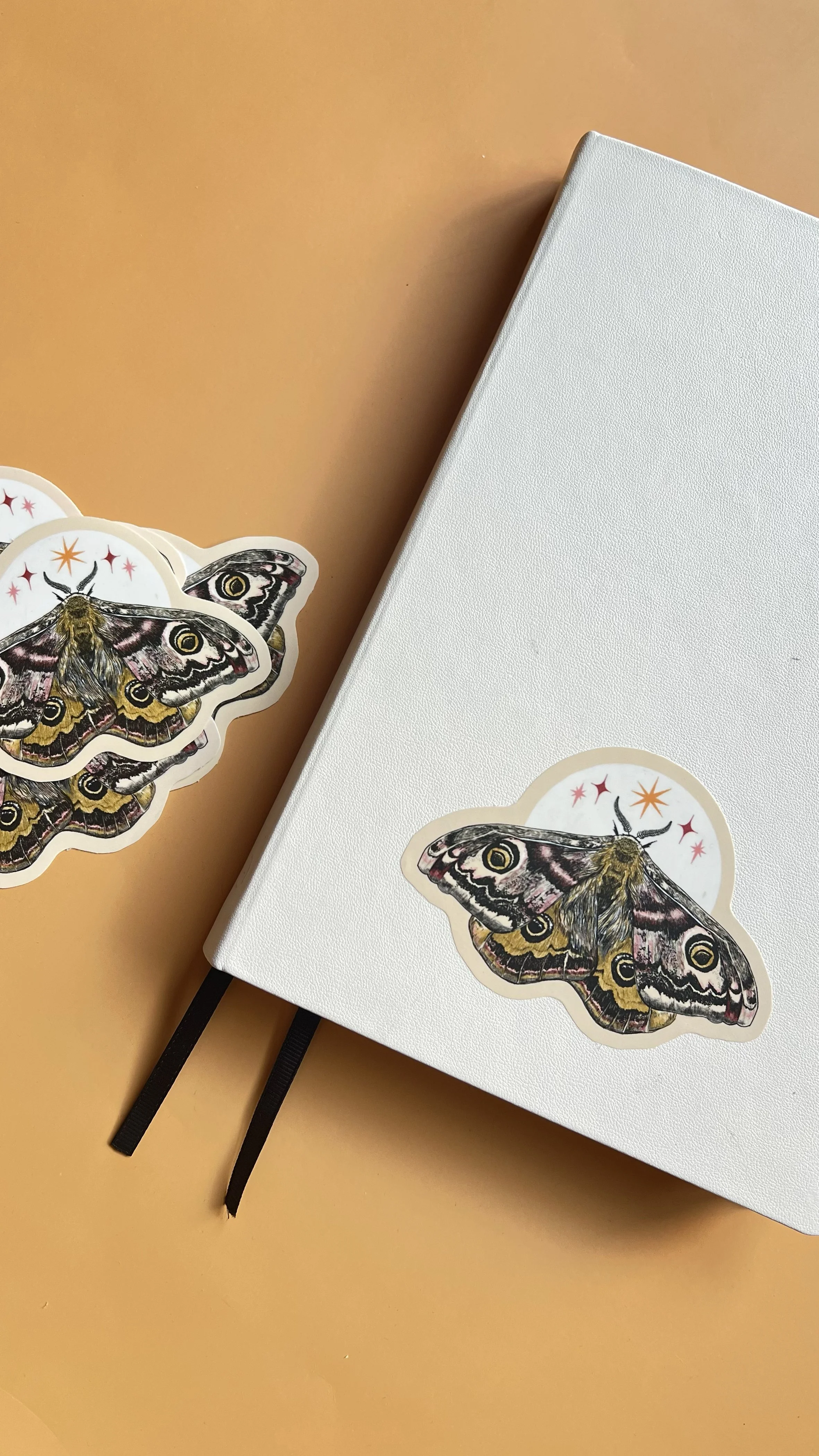 emperor moth 1.jpg