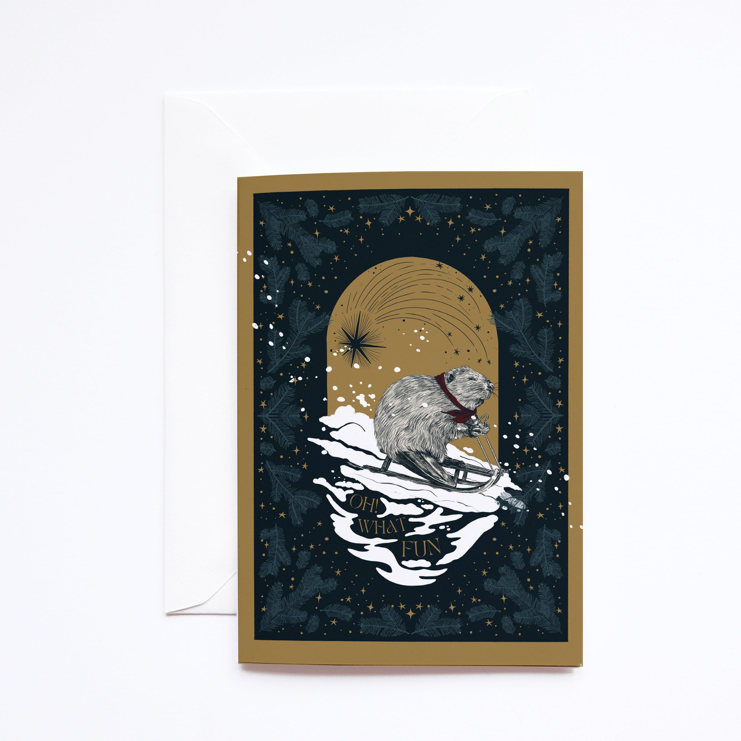 Sledging Beaver.jpg