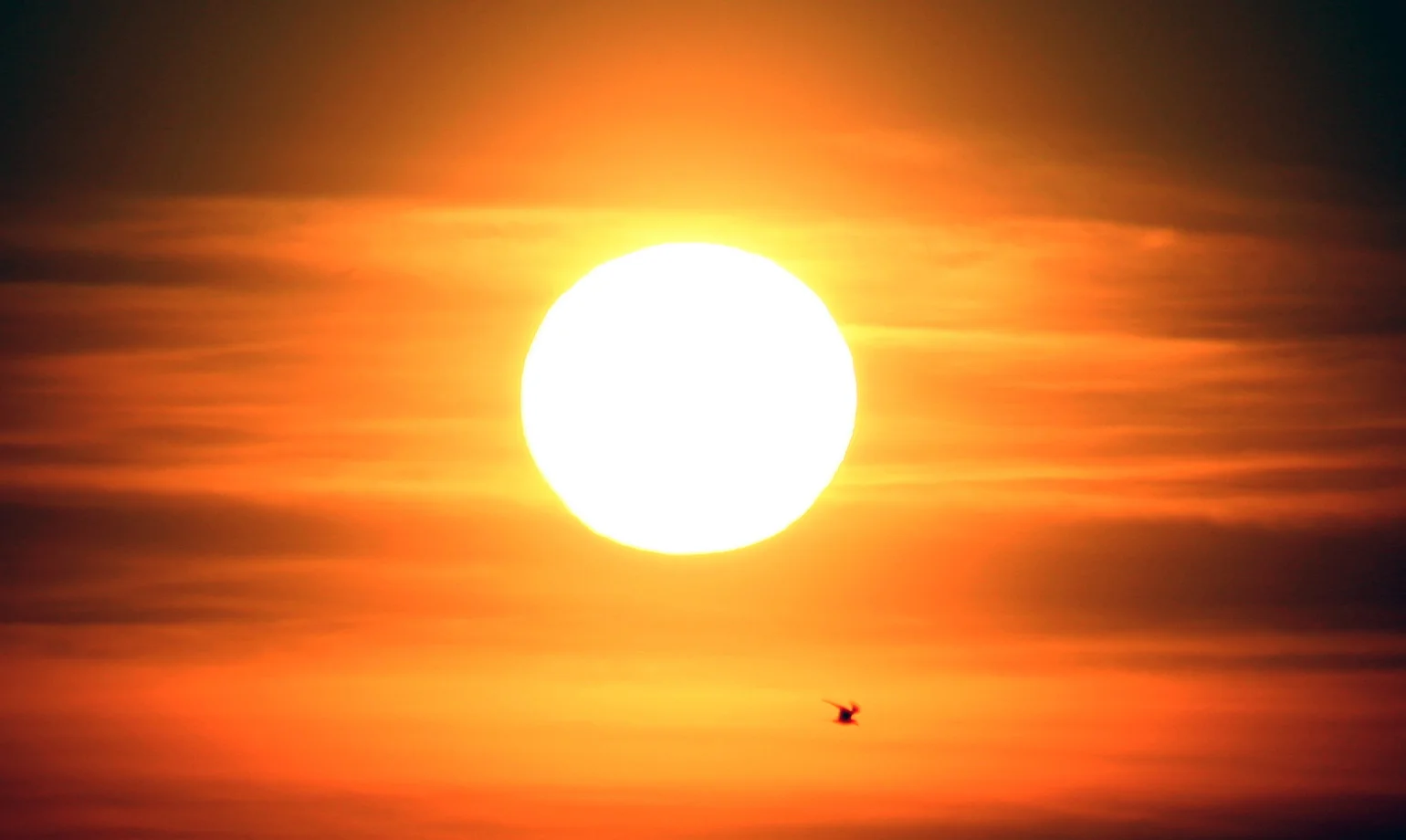 2015 in review.... and Happy New Year