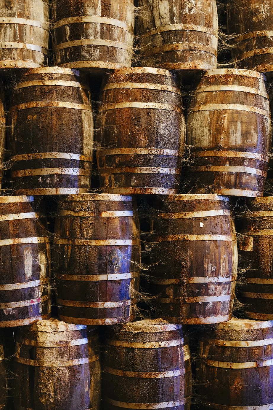 20151028_Tabasco_barrels.jpg