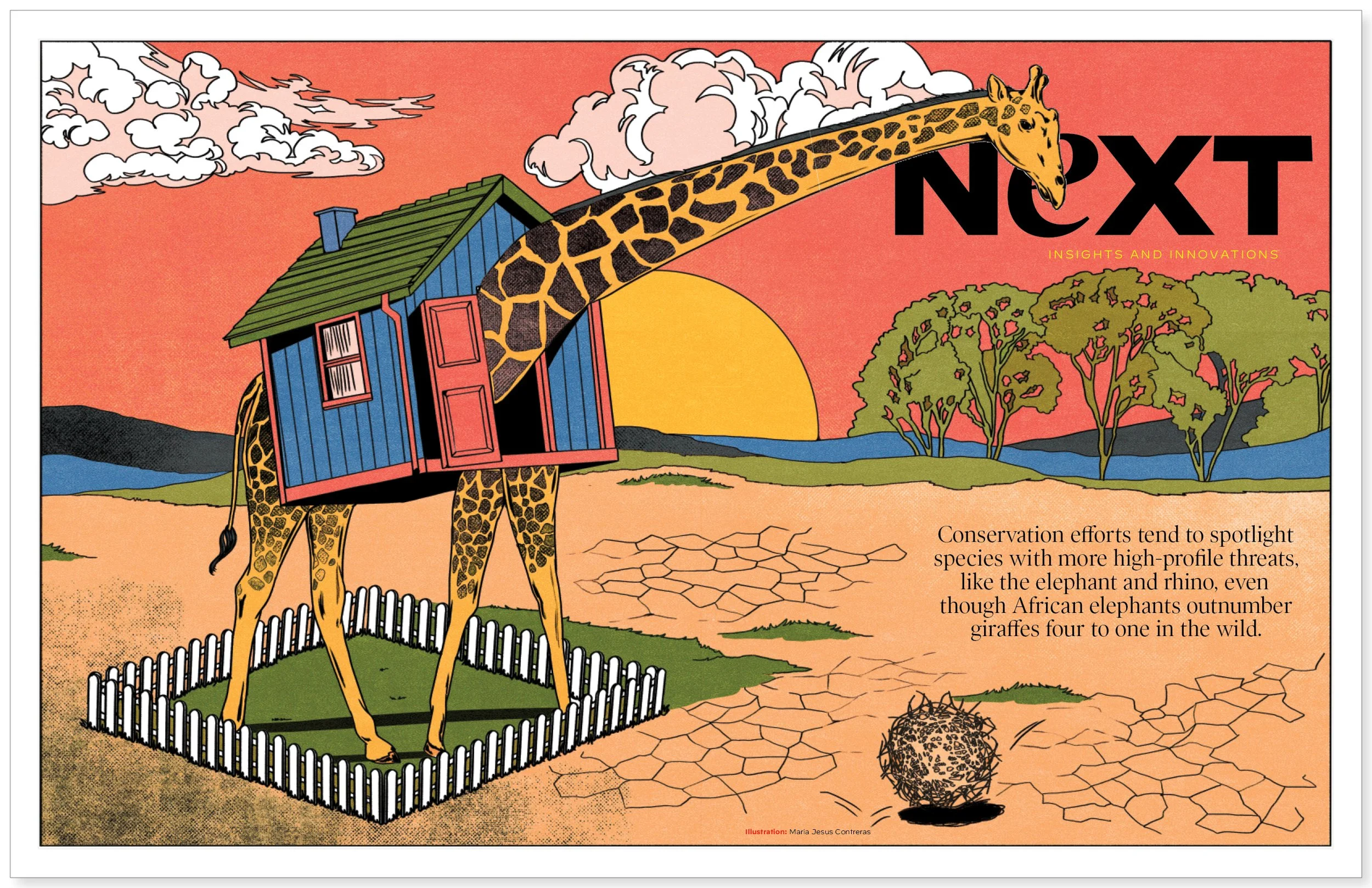  Illustration by Maria Jesus Contreras 