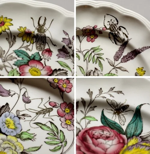 PLATE BUGS.jpg
