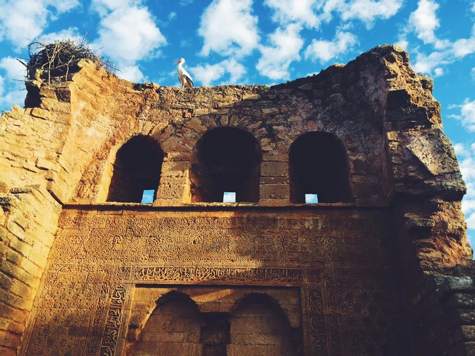 <p><strong>WHO WE ARE</strong>