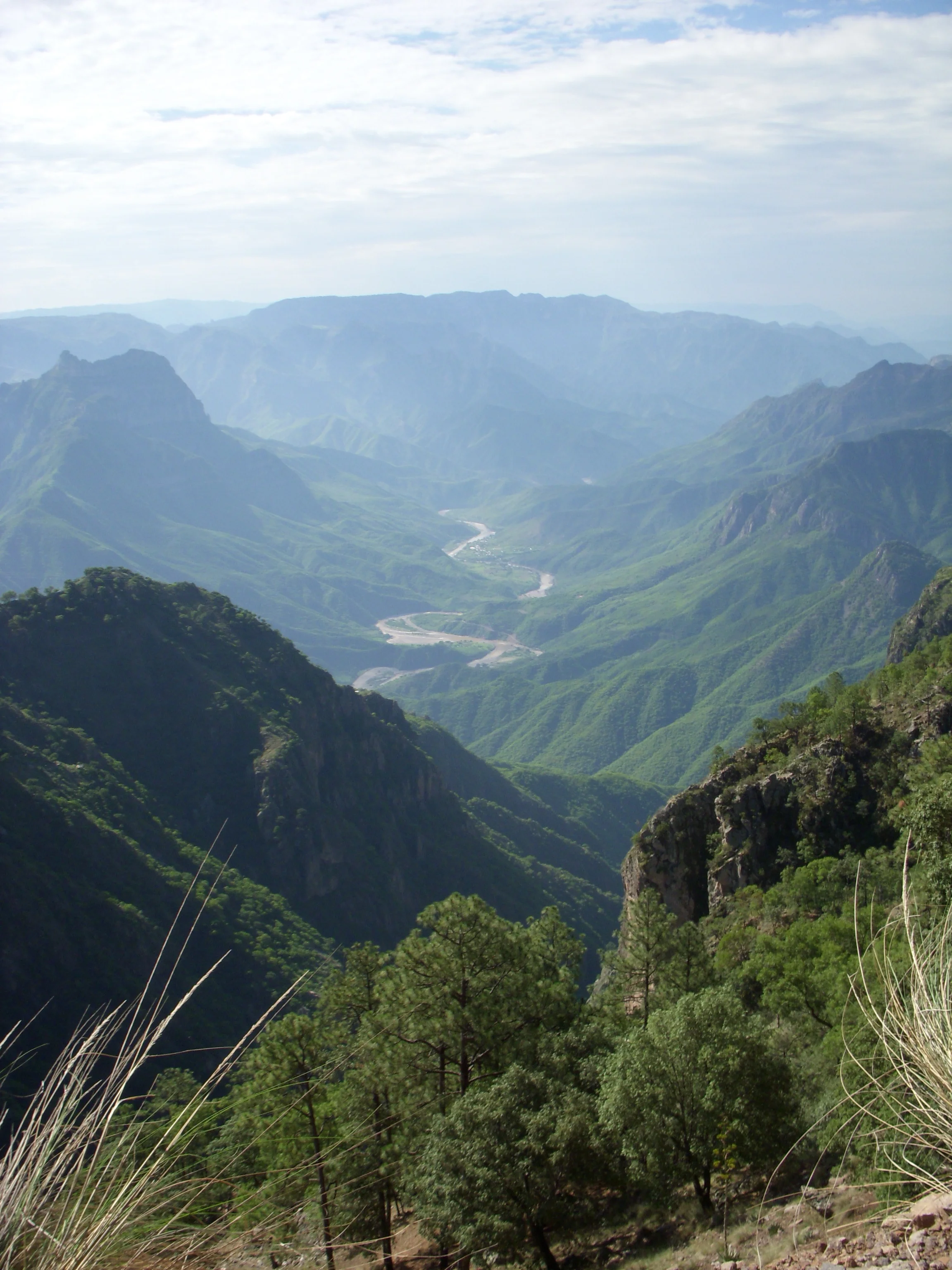 <p><strong>WHAT WE DO</strong>