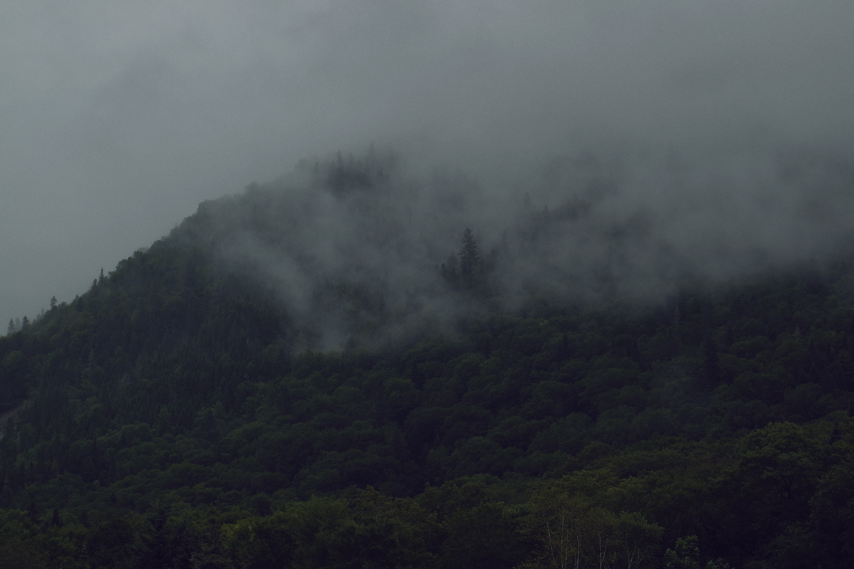 Parc de la Jacques-Cartier - Québec