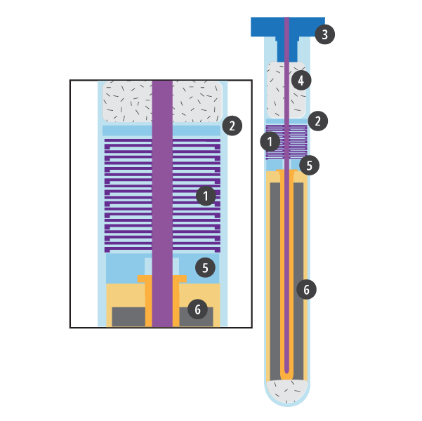 K23Cells_KeyFeatures.png