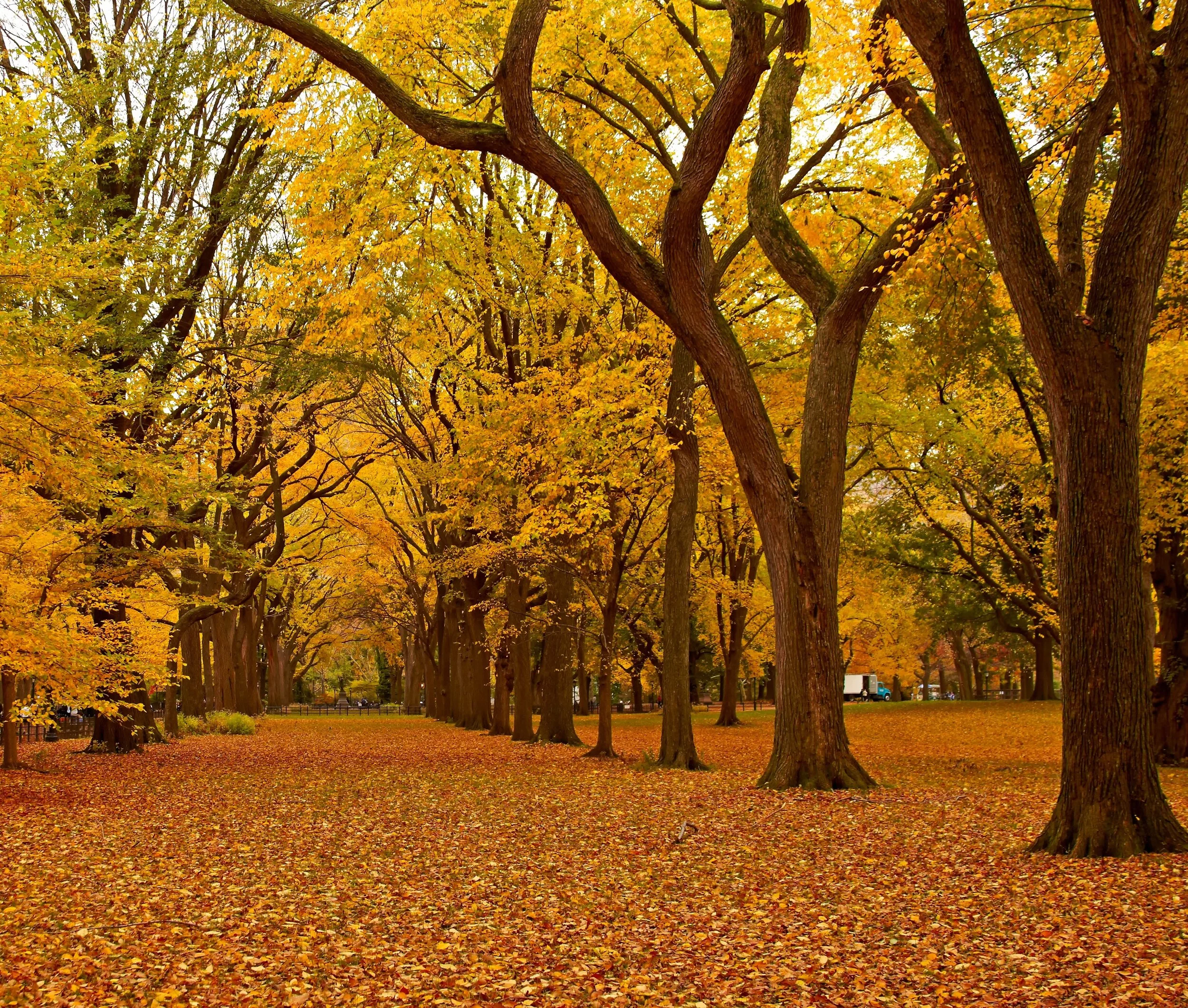 10020944_xl.jpg