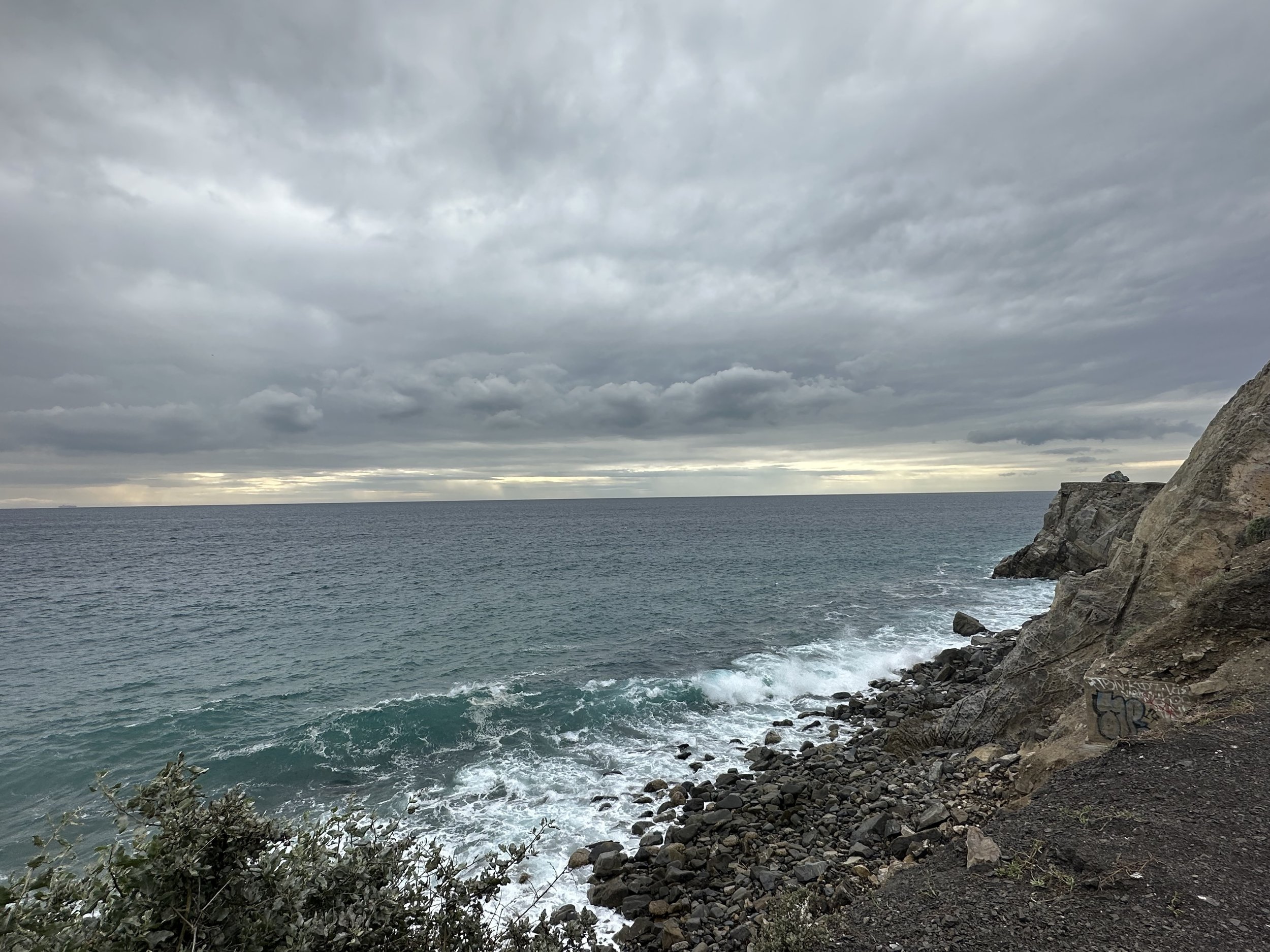 •IMG_1255 3.jpeg