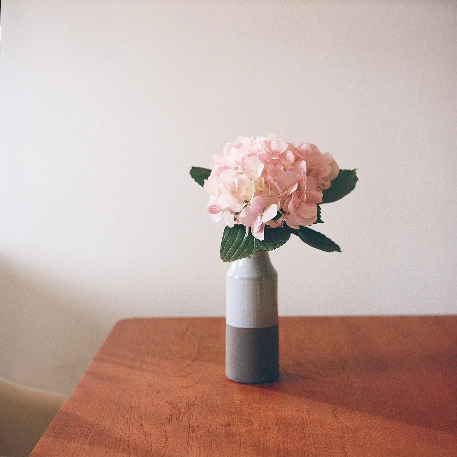 My Photograph selected by Your Daily Photograph