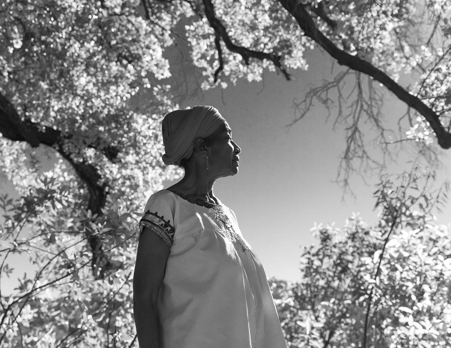 Demetria-0092 copy.jpg