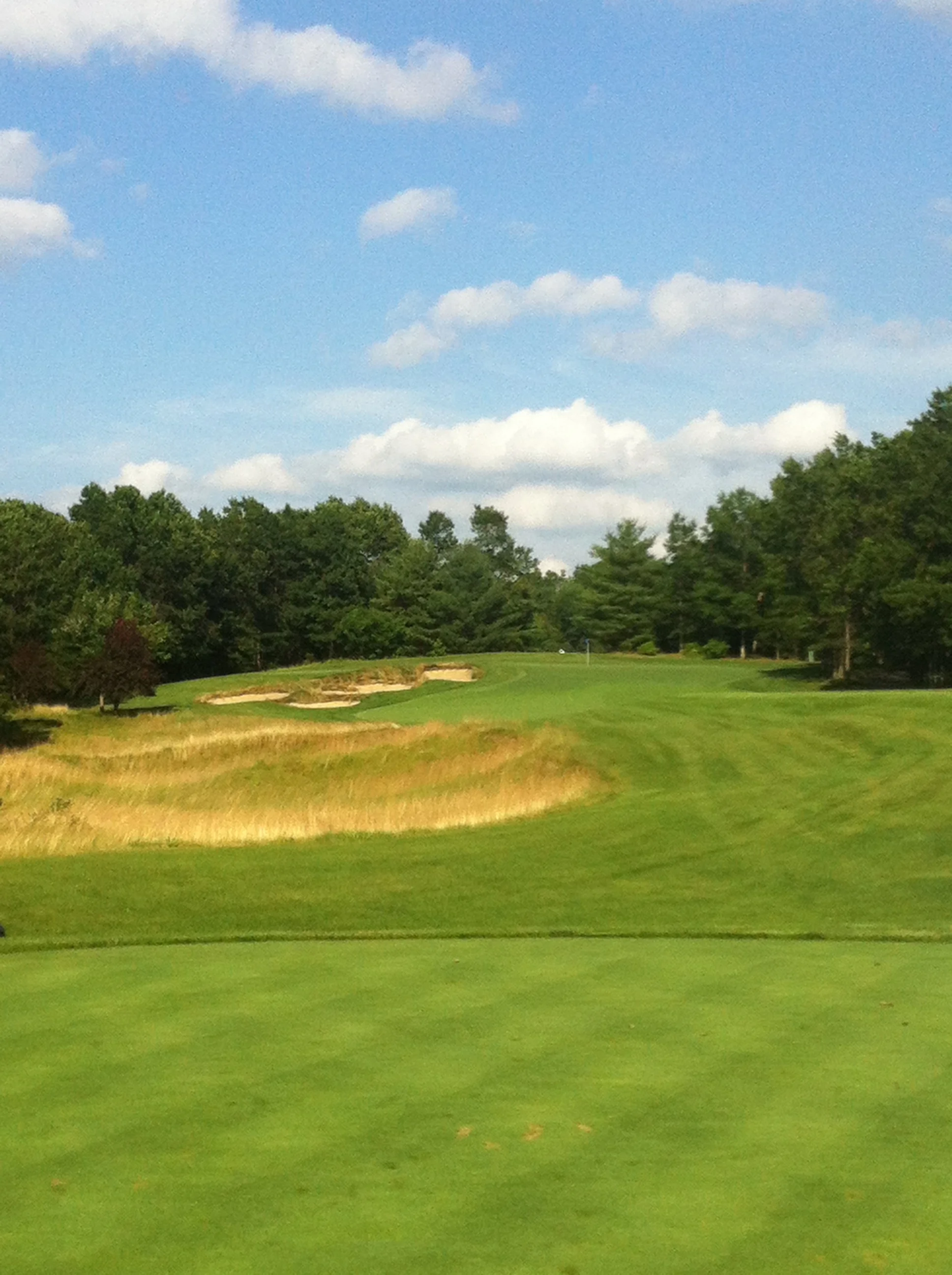 DYED SANDS, Helping or Hurting?