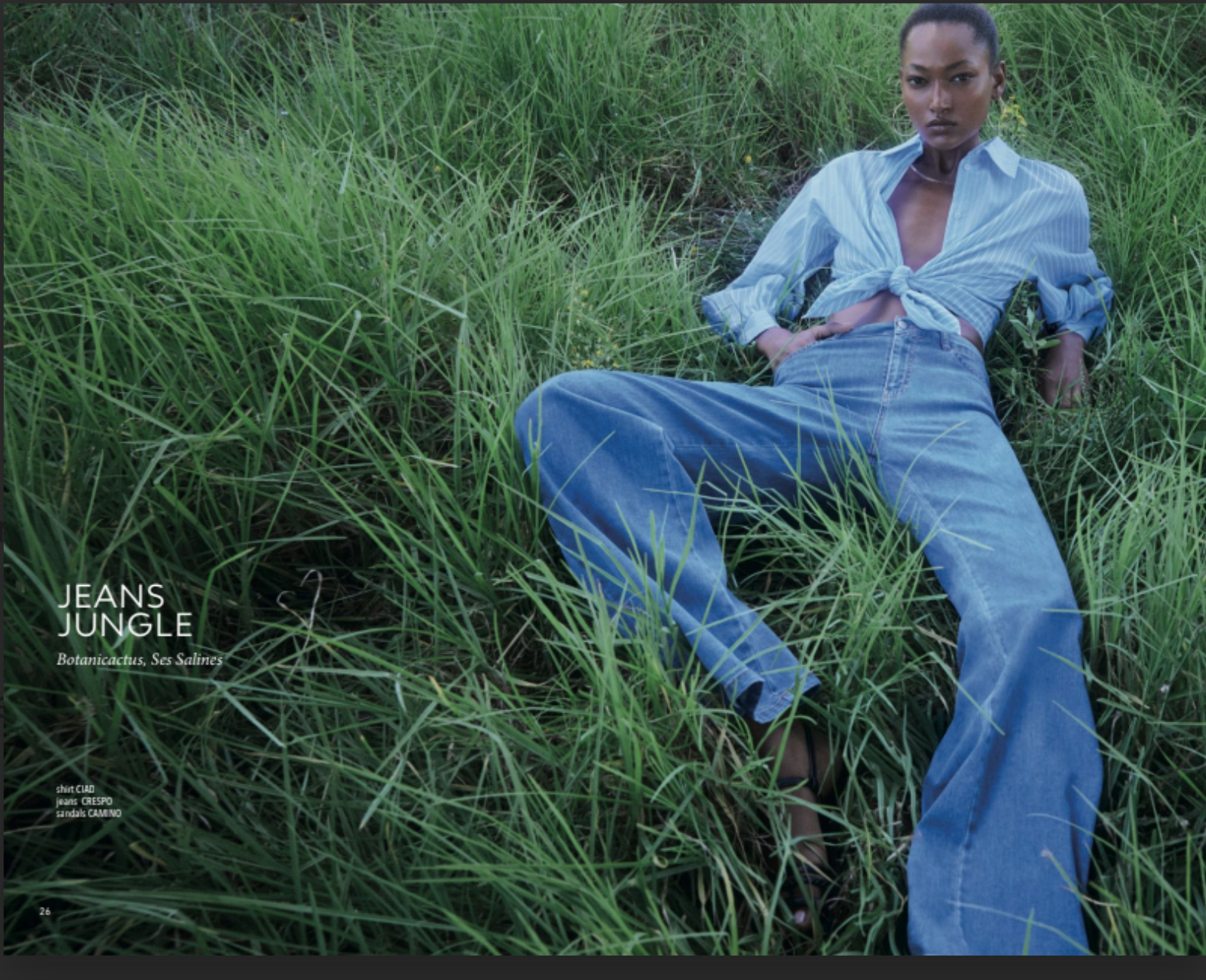 Capture d’écran 2025-05-12 à 22.46.22.png