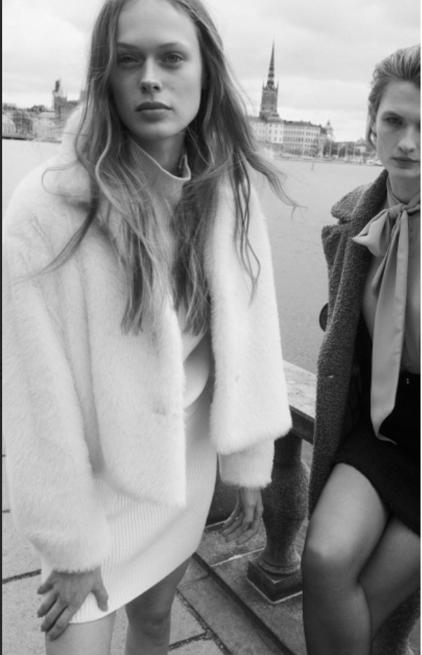 Capture d’écran 2025-05-12 à 22.50.10.png