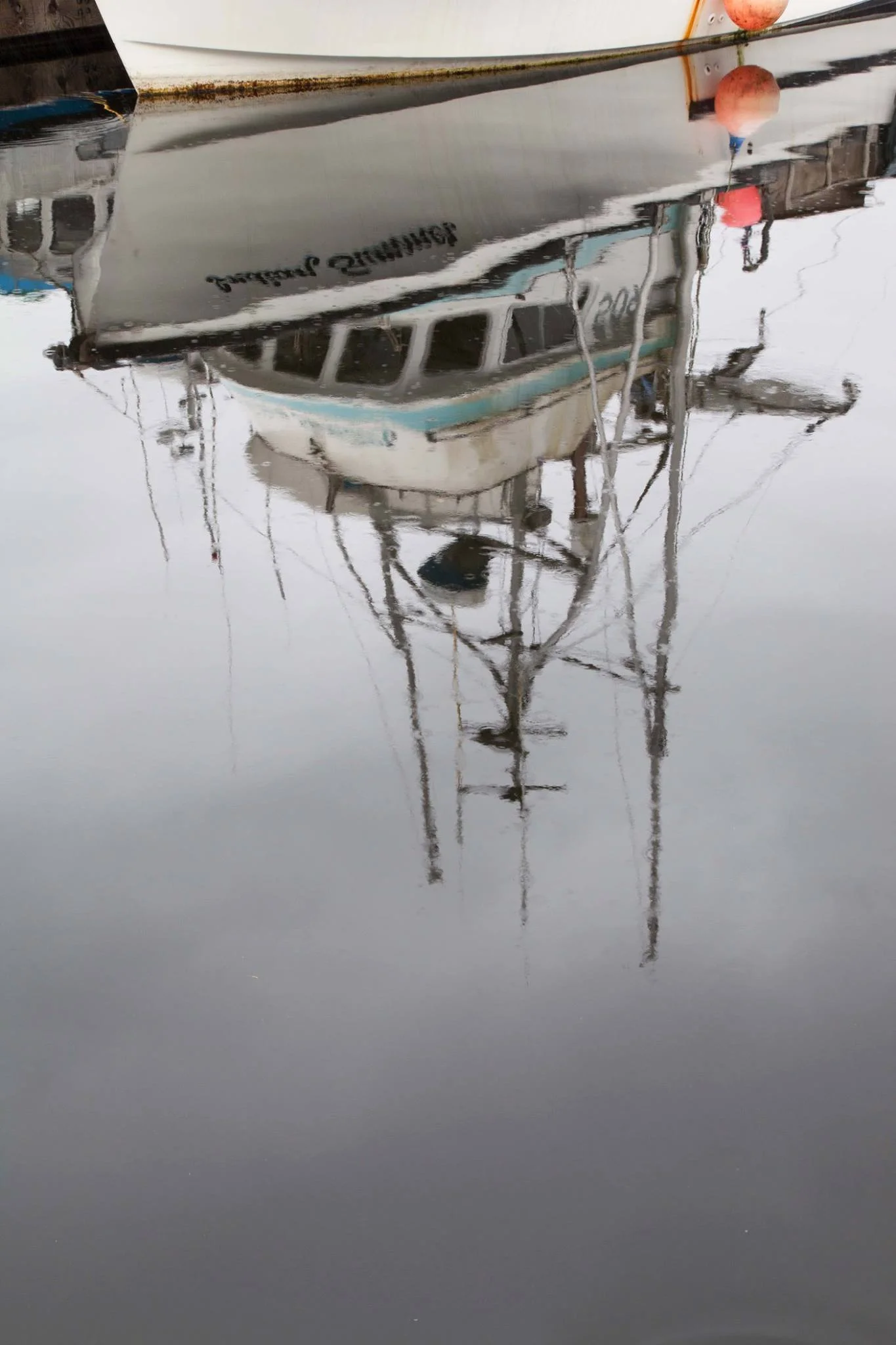 Alaskan Reflection