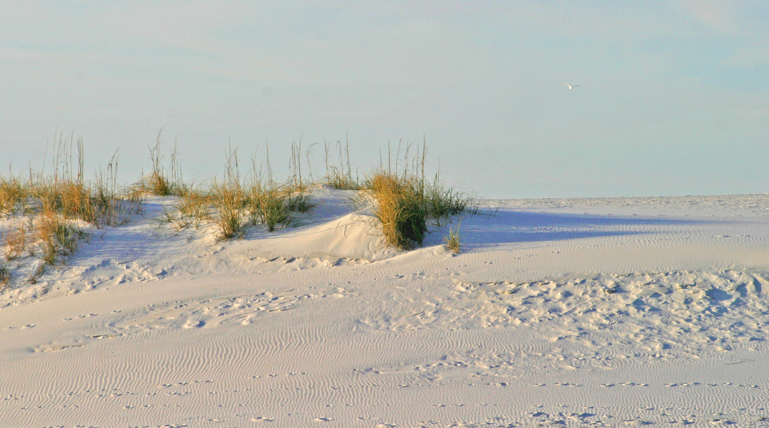 Destin