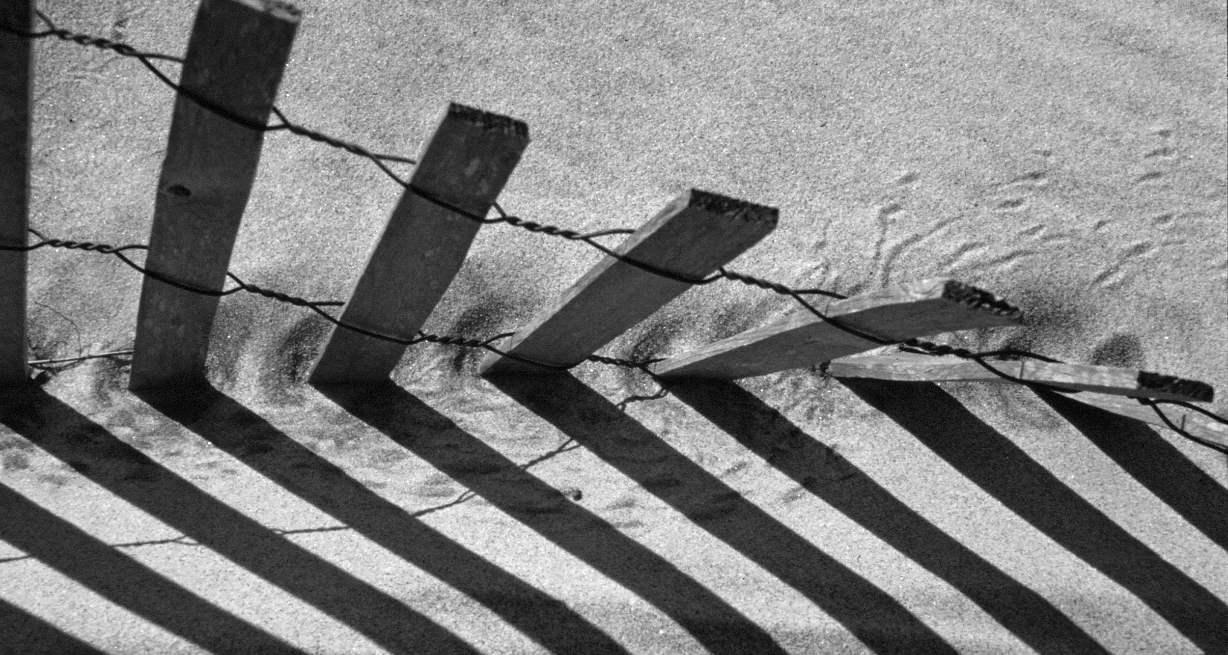 Fence in the Dunes