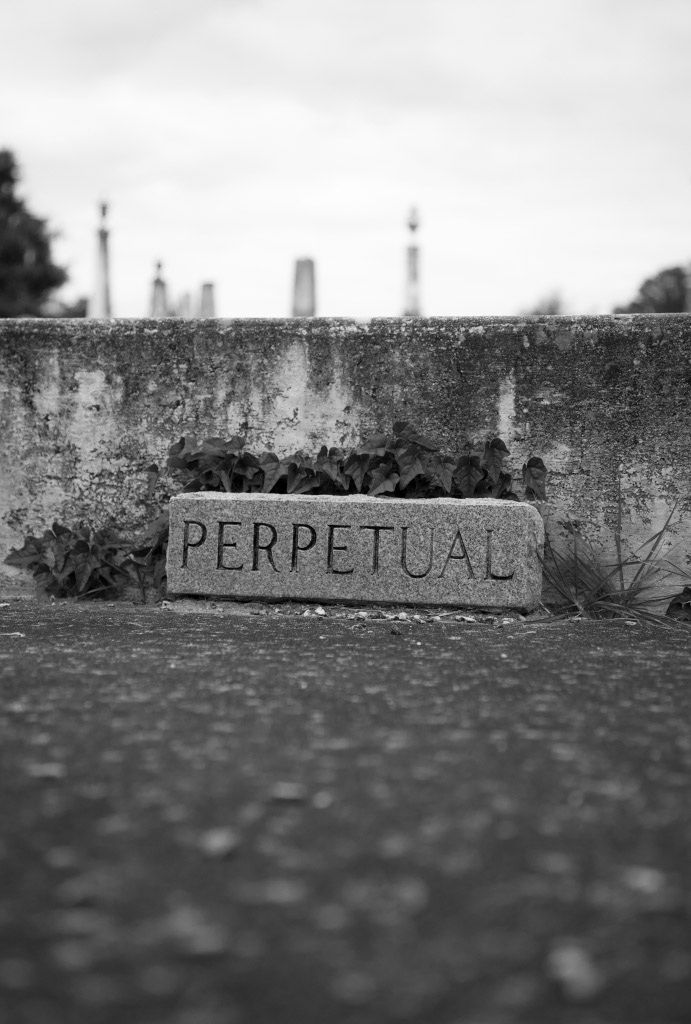 Perpetual