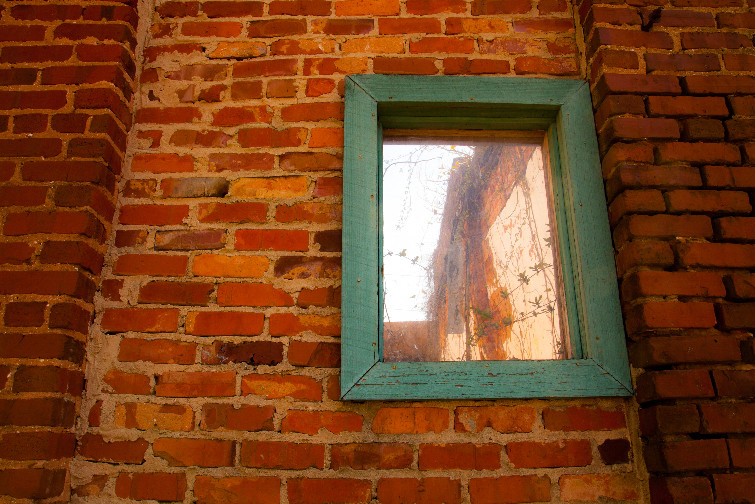 Green Window