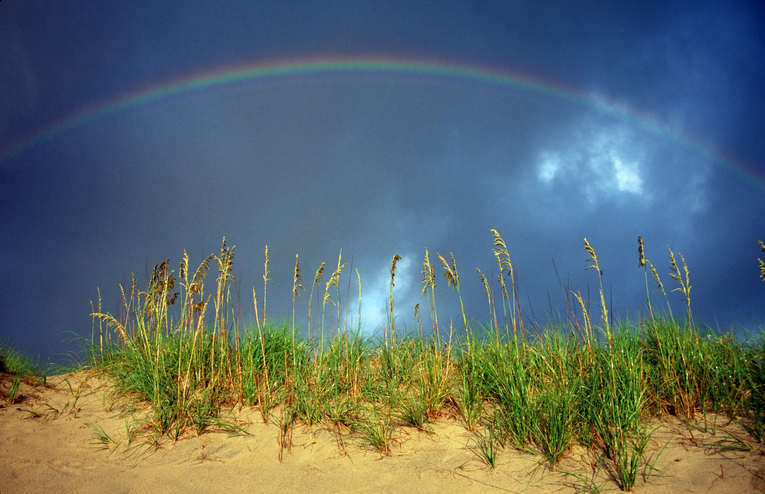 Beach at Sandbridge After the Storm