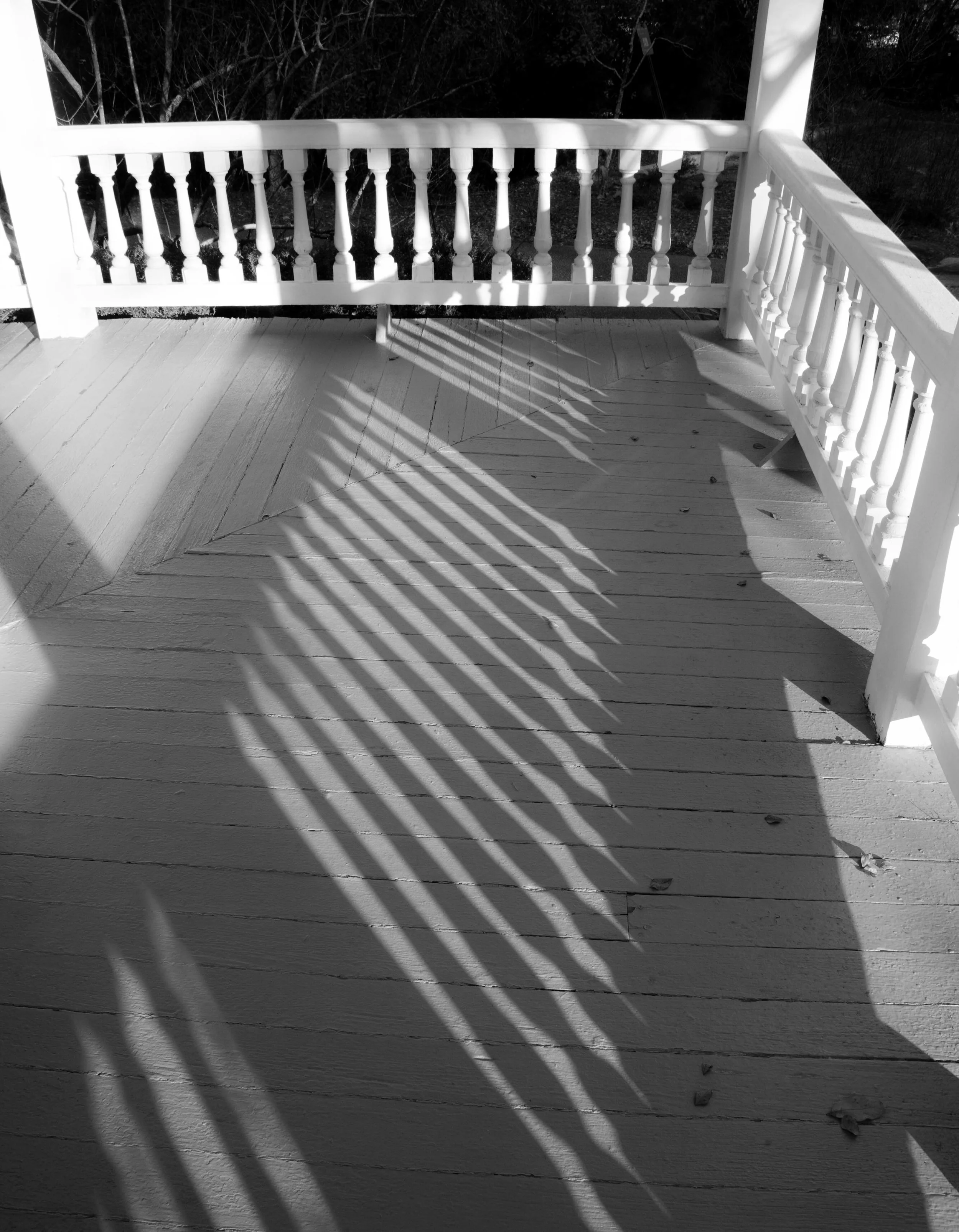 Gardens Shadows.jpg