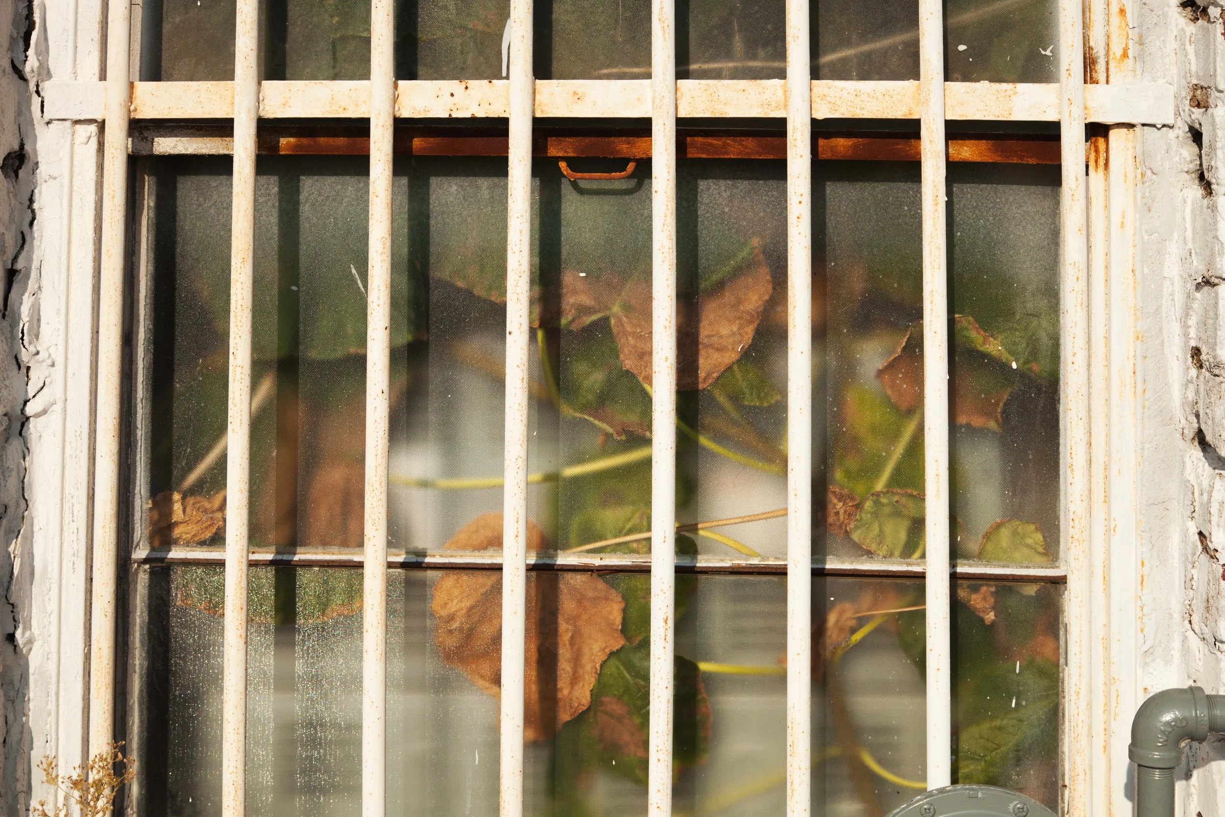 Incarcerated