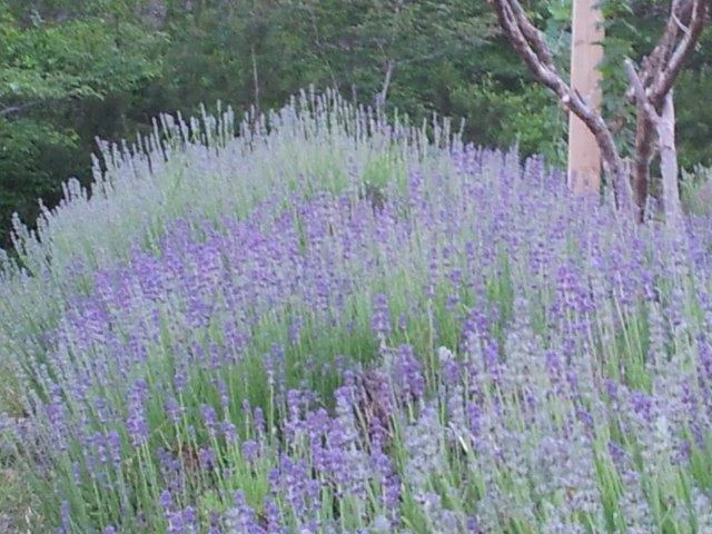 20140628_200348.jpg