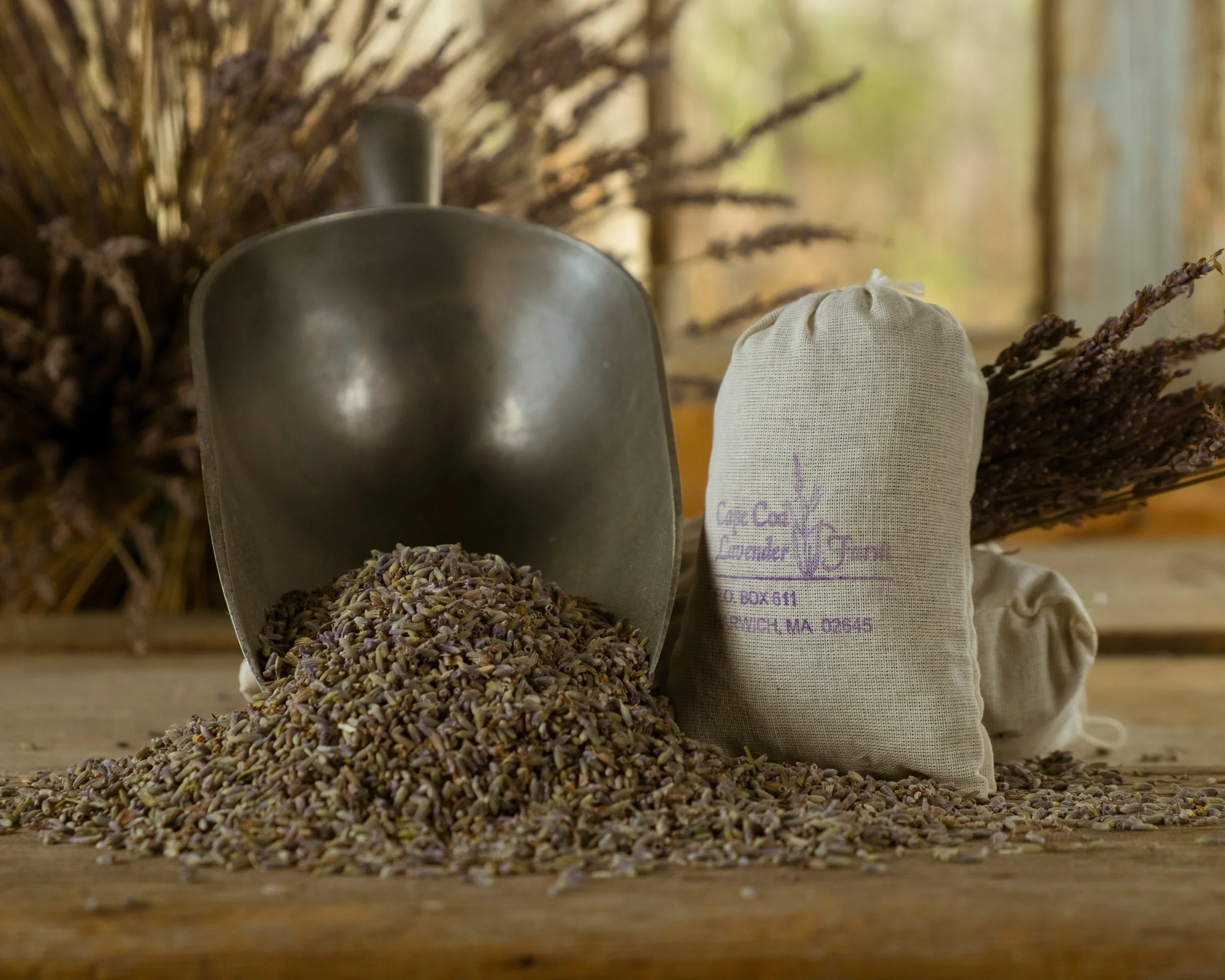 culinary lavender
