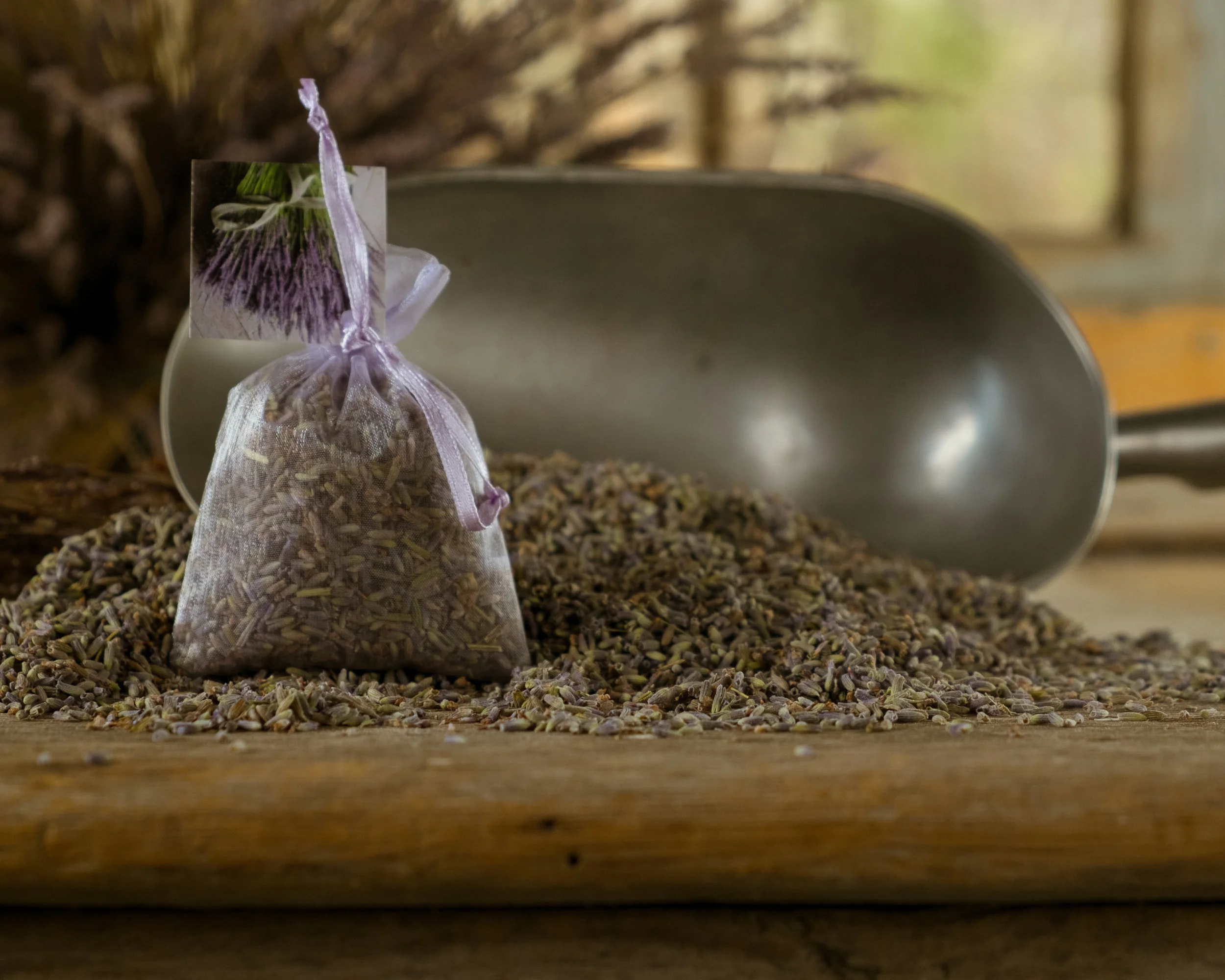 CC Lavender Farm-1025.jpg
