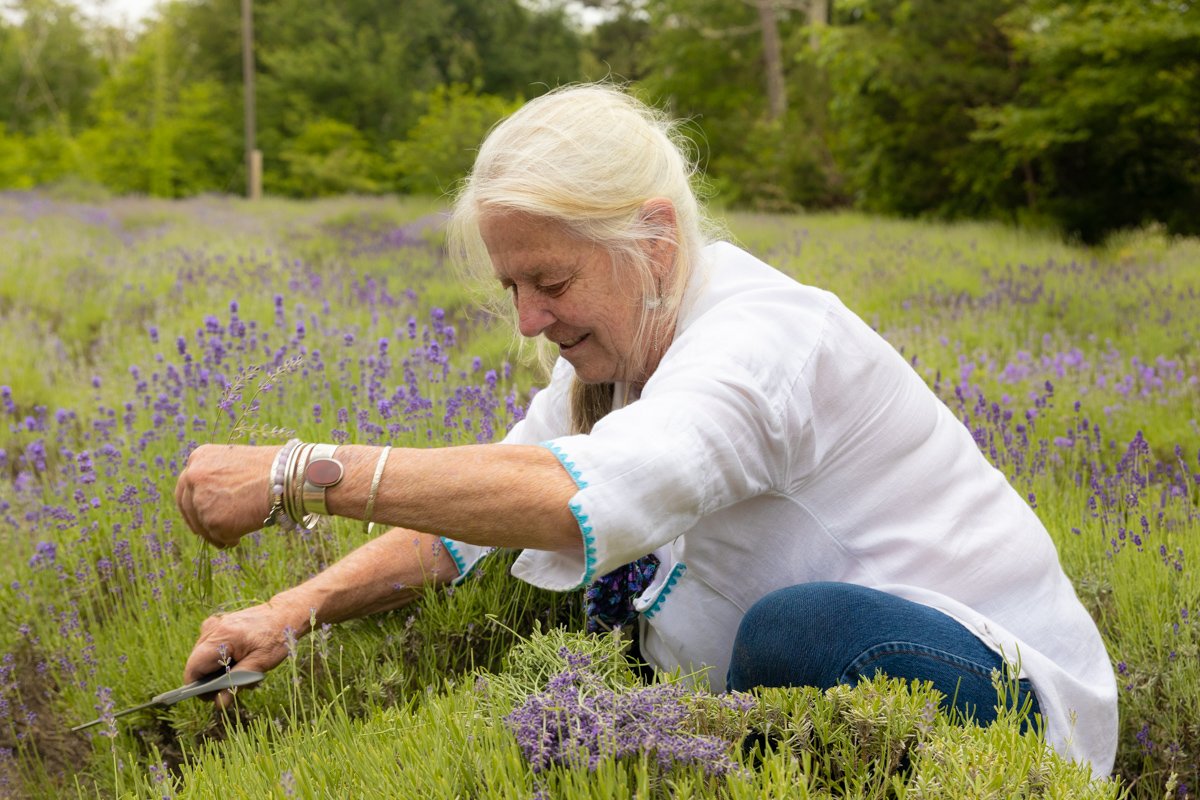 Cape Cod Lavender Farm-53.jpg