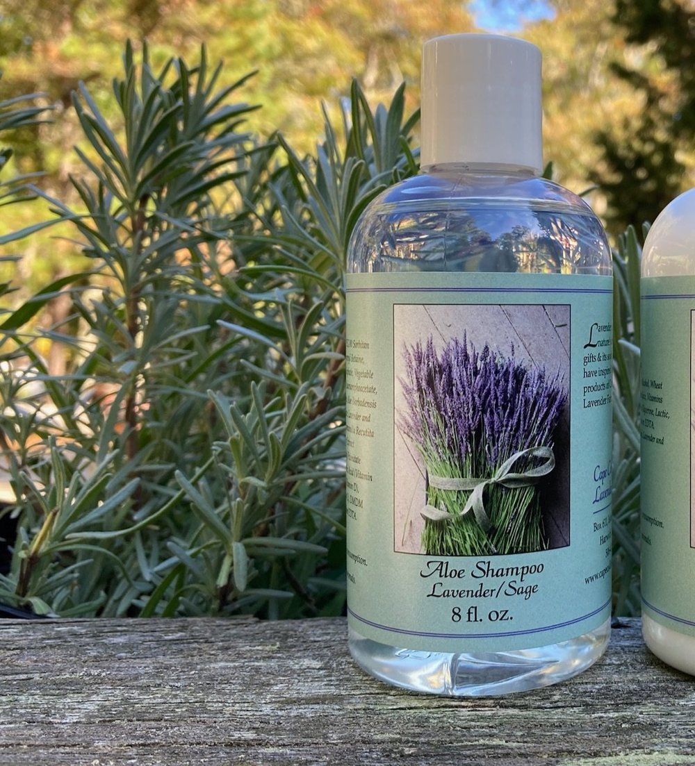 Aloe Shampoo lavender/sage — Cape Cod Lavender Farm