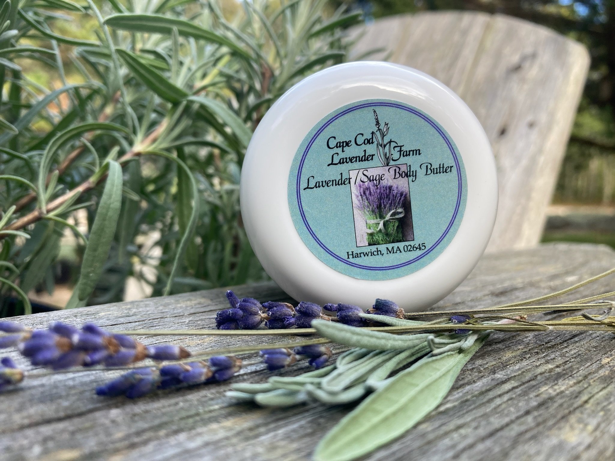 body-butter-2.jpeg