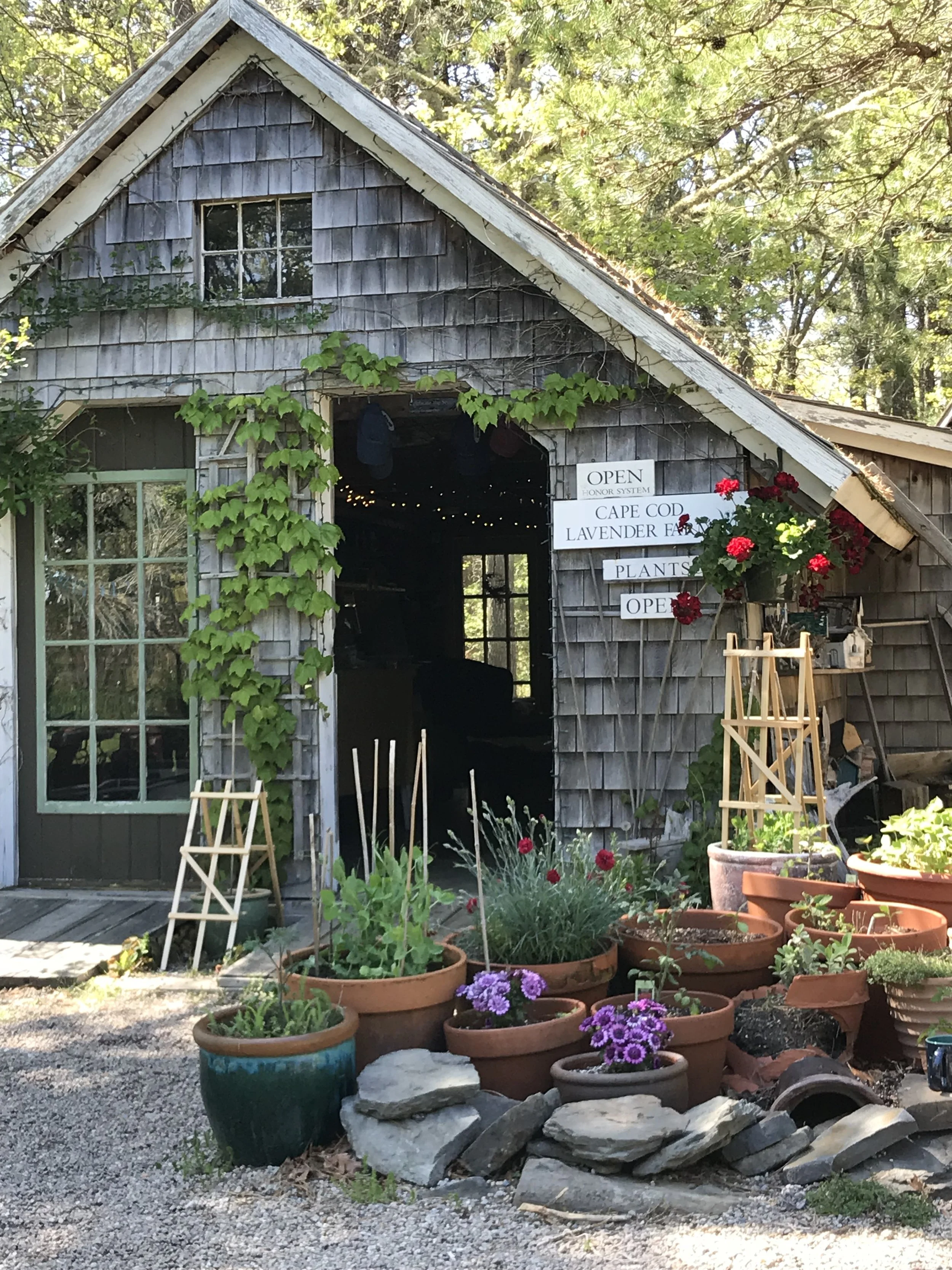 Happy Spring from CCLF